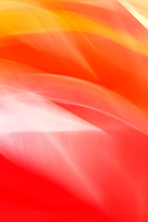 Free Dynamic abstract image with vivid red and orange light waves in motion. Stock Photo