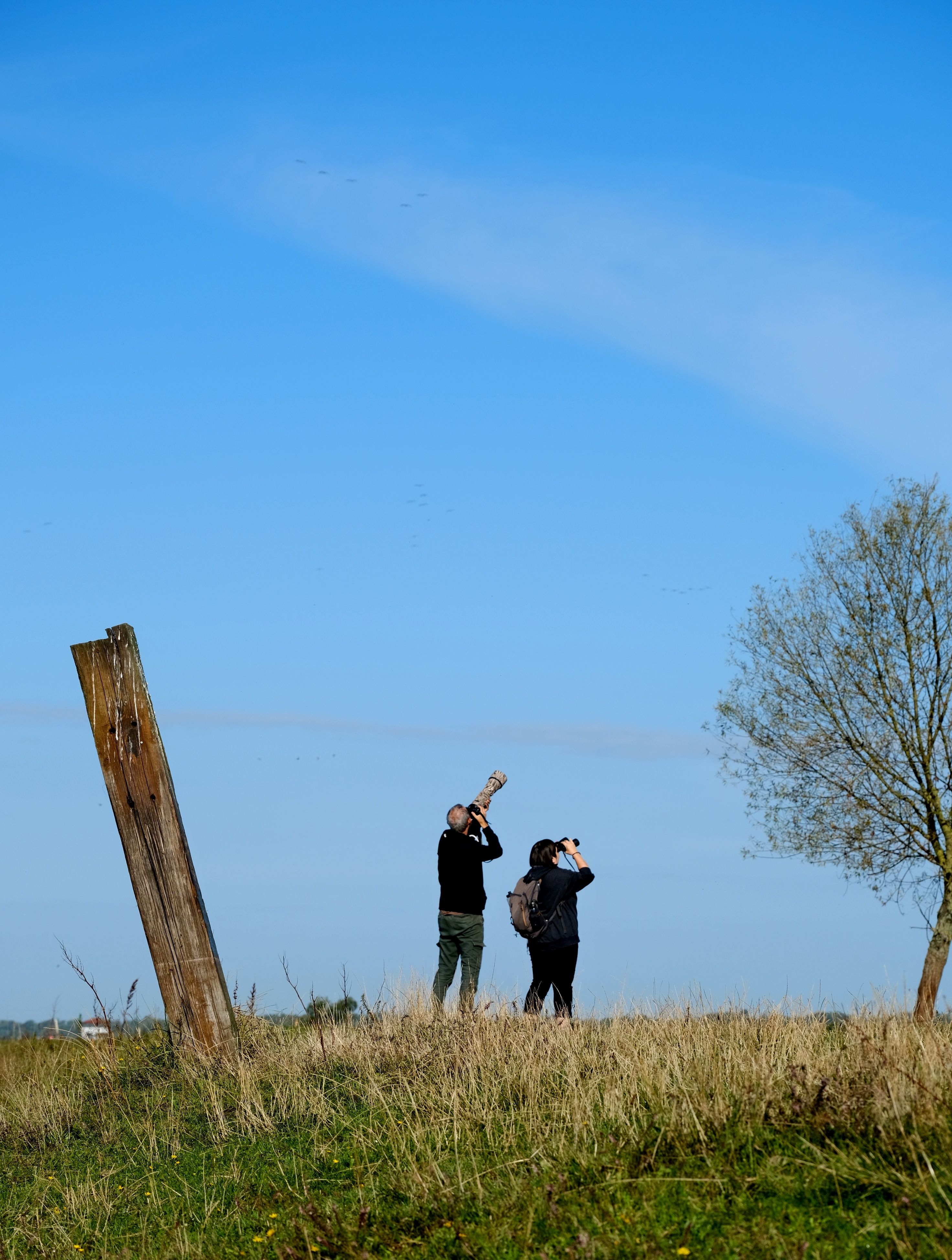 Bird Watching Past Times