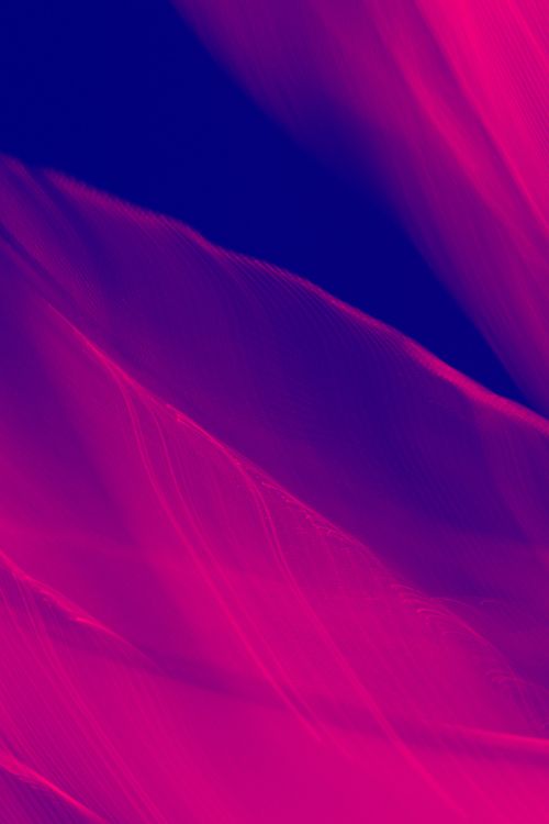 Free Captivating abstract image of vivid pink and blue light trails creating dynamic motion effect. Stock Photo