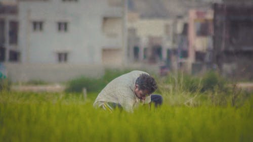 Δωρεάν στοκ φωτογραφιών με αγρότης, εργάζομαι