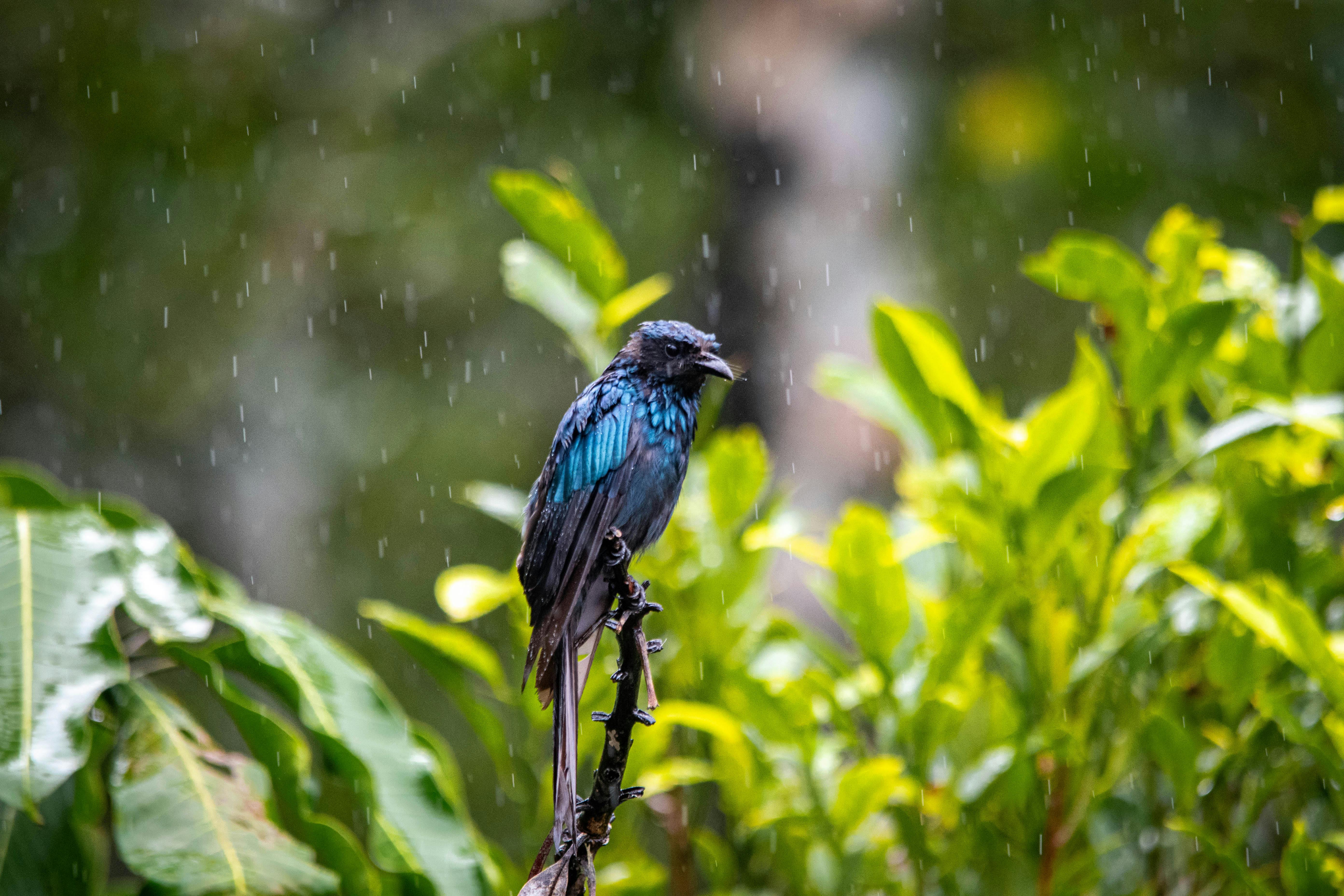 Sustainable Travel and Other Small Lies I Tell Myself Sustainable Travel and Other Small Lies I Tell Myself