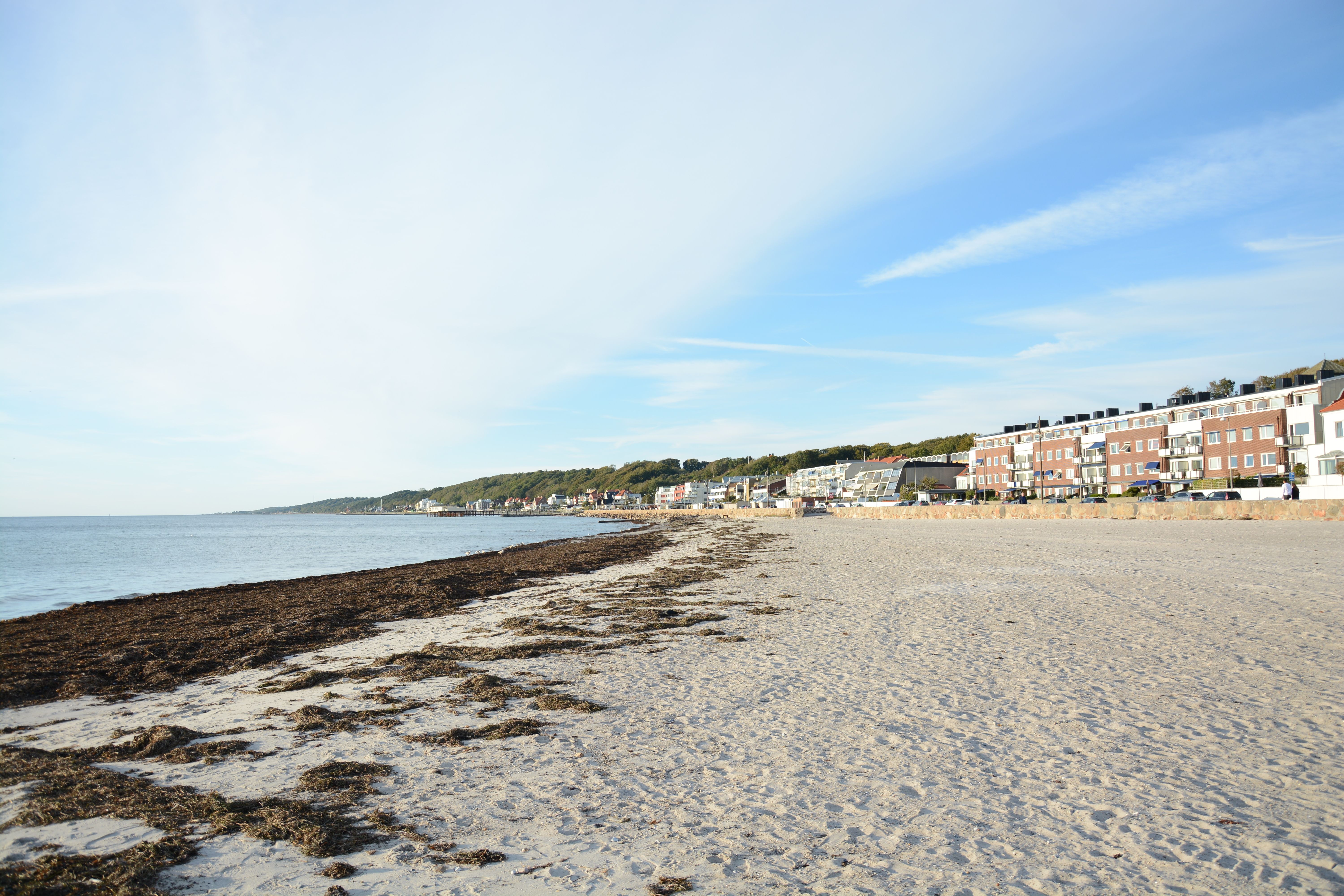Serene view of a coastal town's beachfront with a clear blue sky and calm ocean waters. — Trójmiasto