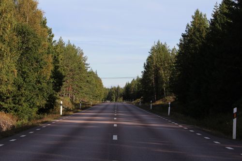 Zadarmo Prázdna cesta sa tiahne cez živý jesenný les a zachytáva podstatu pokojnej cesty. Fotka z fotobanky