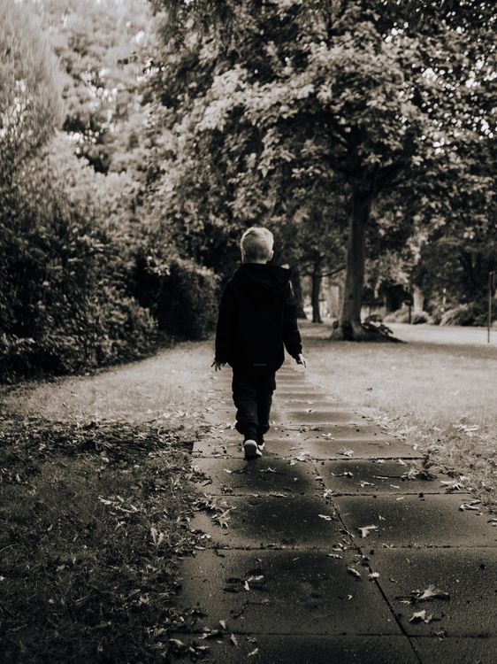 Child Walking Alone on a Leafy Pathway · Free Stock Photo