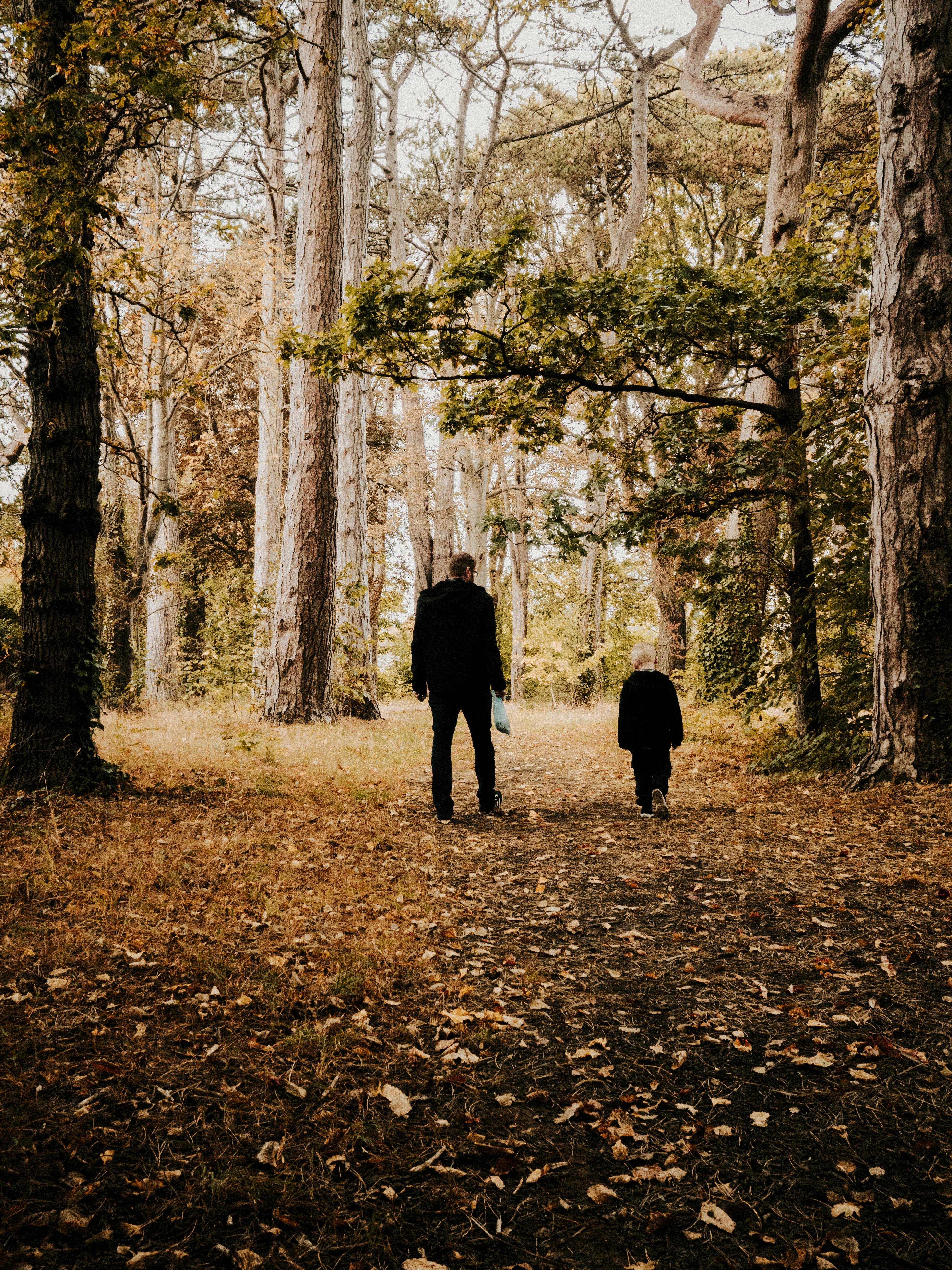 A father and child walking hand-in-hand on a leafy path in an autumn forest.