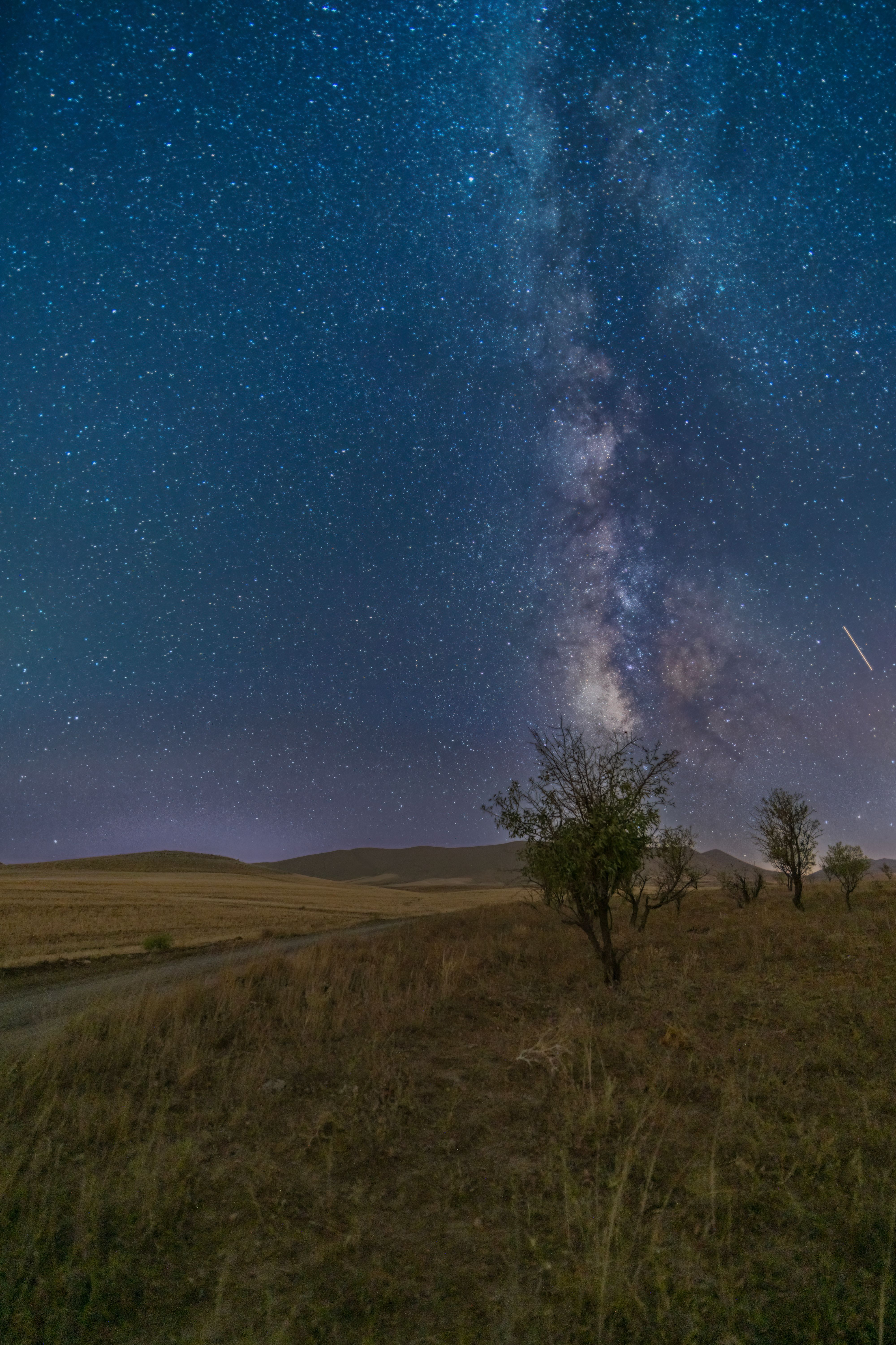 Breathtaking view of the Milky Way galaxy illuminating a vast, open grassland under the night sky.