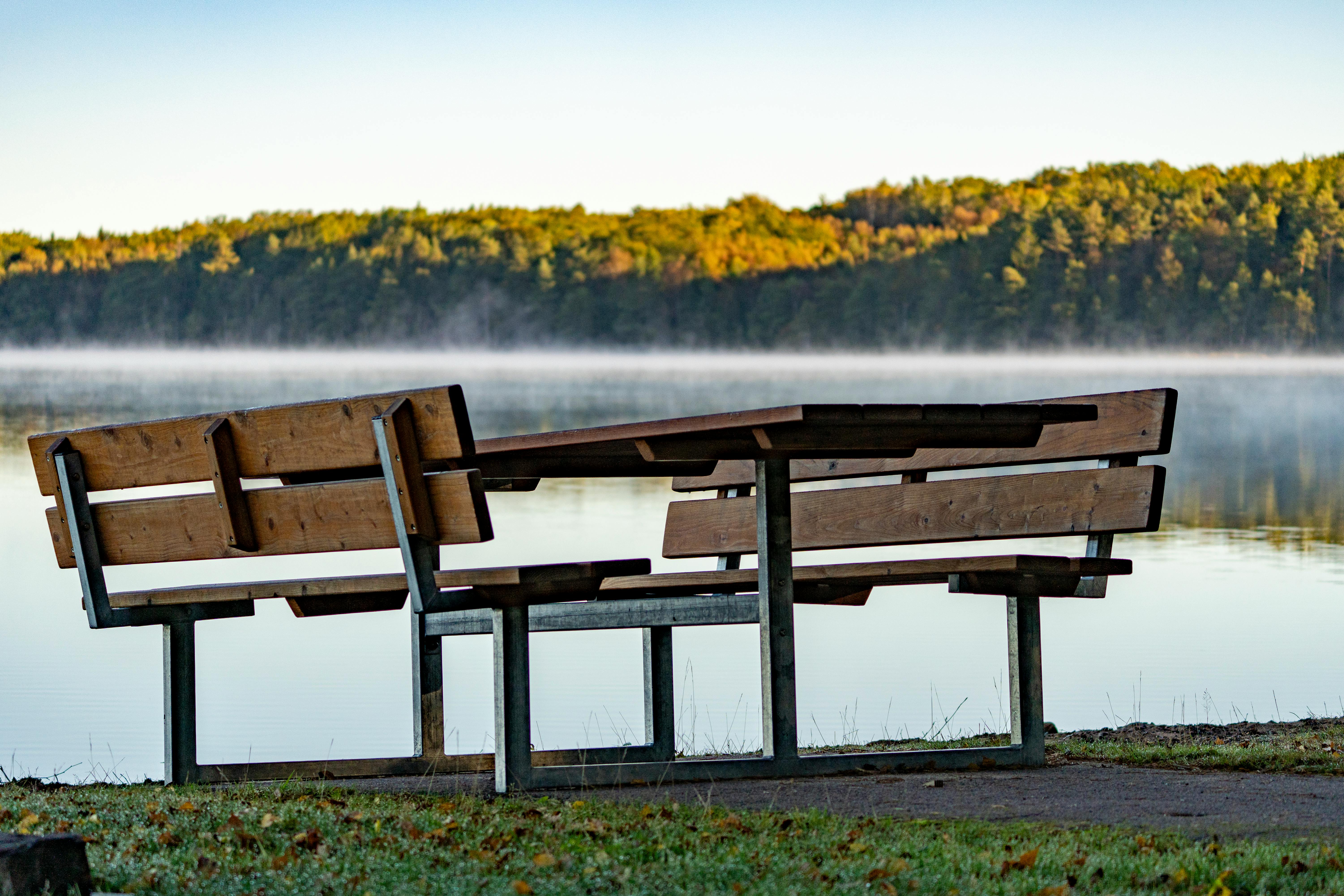 The ultimate outdoor workout: all you need is a park bench — Photo by Lorenzo Manera on Pexels