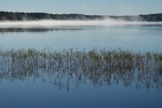 Mist rises over a calm lake surrounded by nature, creating a serene morning atmosphere.