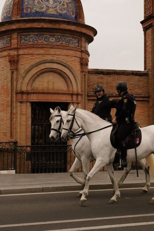 Free Policemen riding white horses near a historic brick building with ornate details. Stock Photo