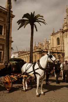 A horse-drawn carriage on a sunny day in Seville, showcasing historic architecture.