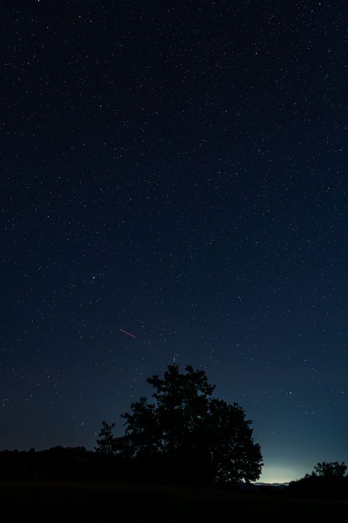 Free A vivid starry night sky over a silhouetted tree, capturing celestial beauty. Stock Photo