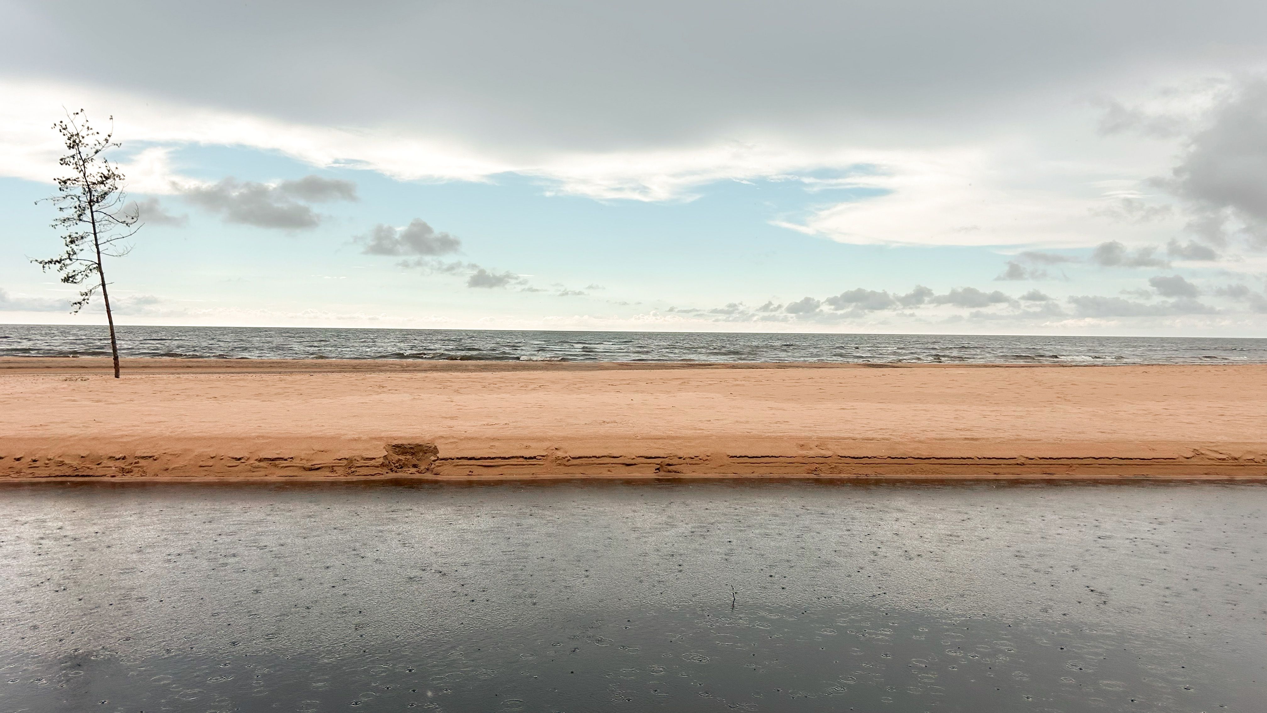 Peaceful beach scene at Vitrupe in Latvia, featuring a lone tree and gentle waves.