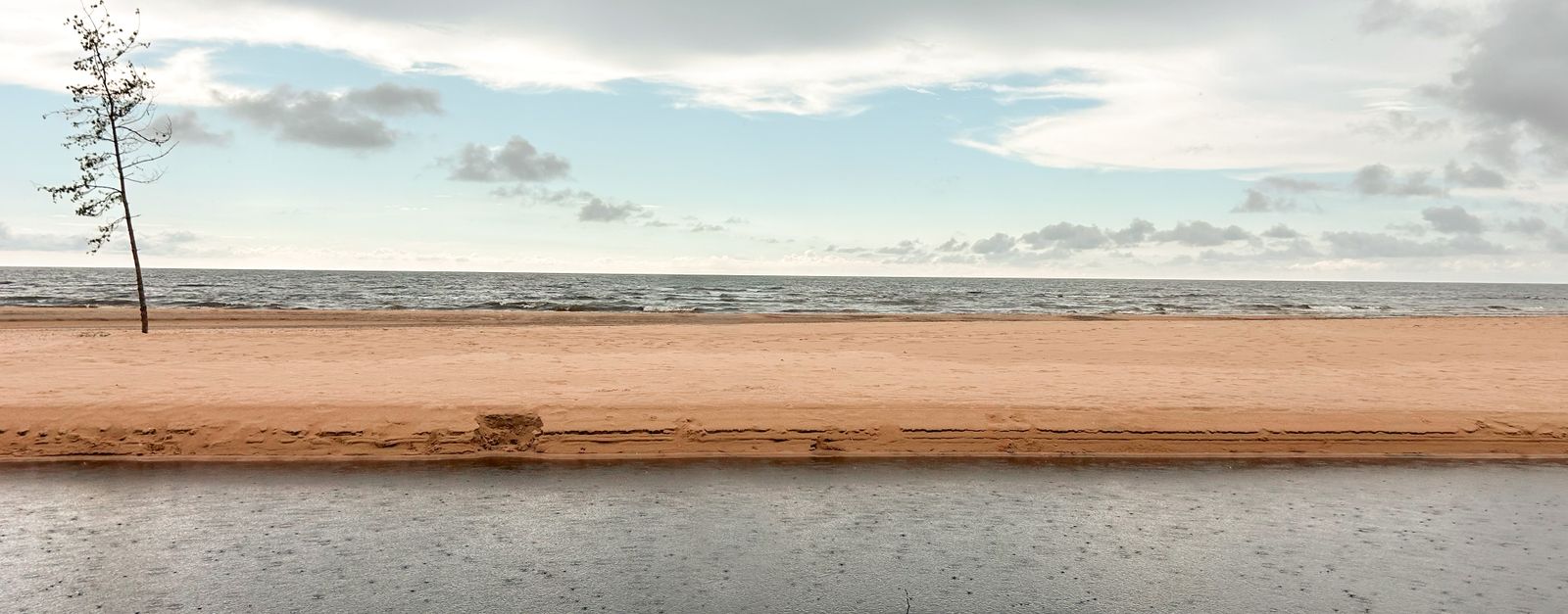 Peaceful beach scene at Vitrupe in Latvia, featuring a lone tree and gentle waves.