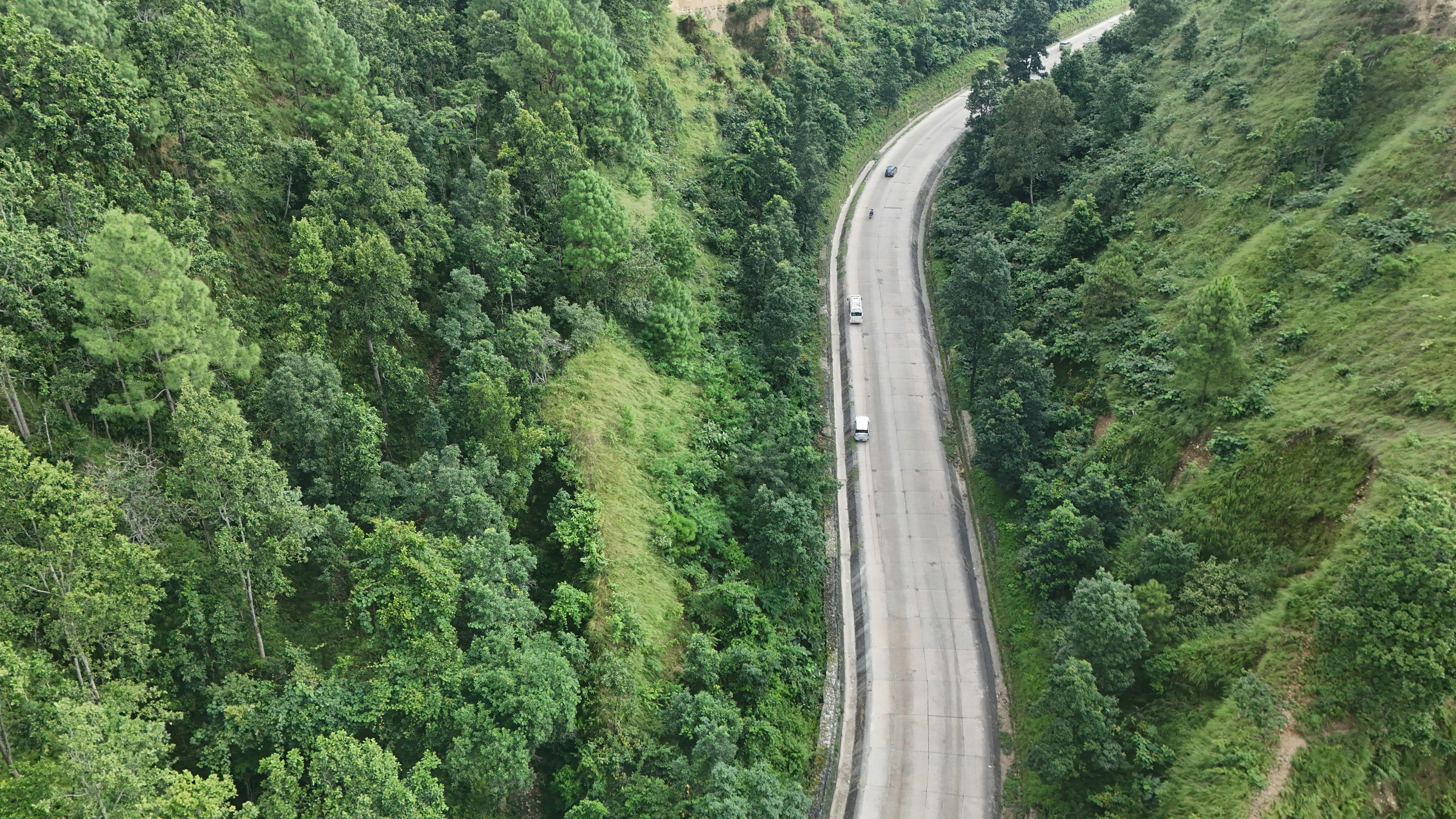 Gratis Predefinito Foto a disposizione