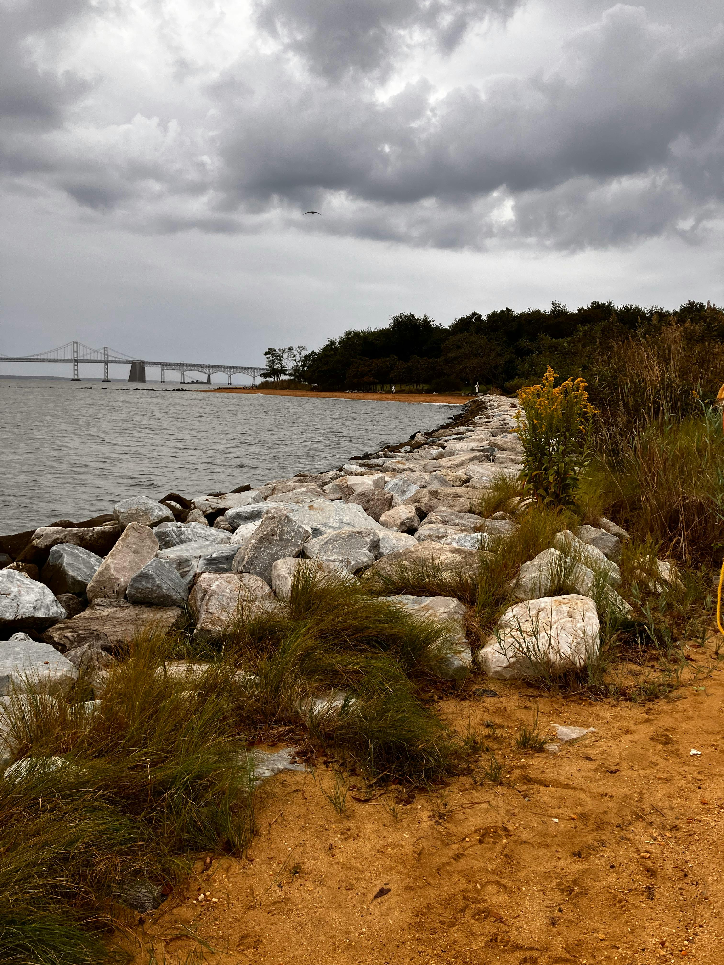 Chesapeake Bay