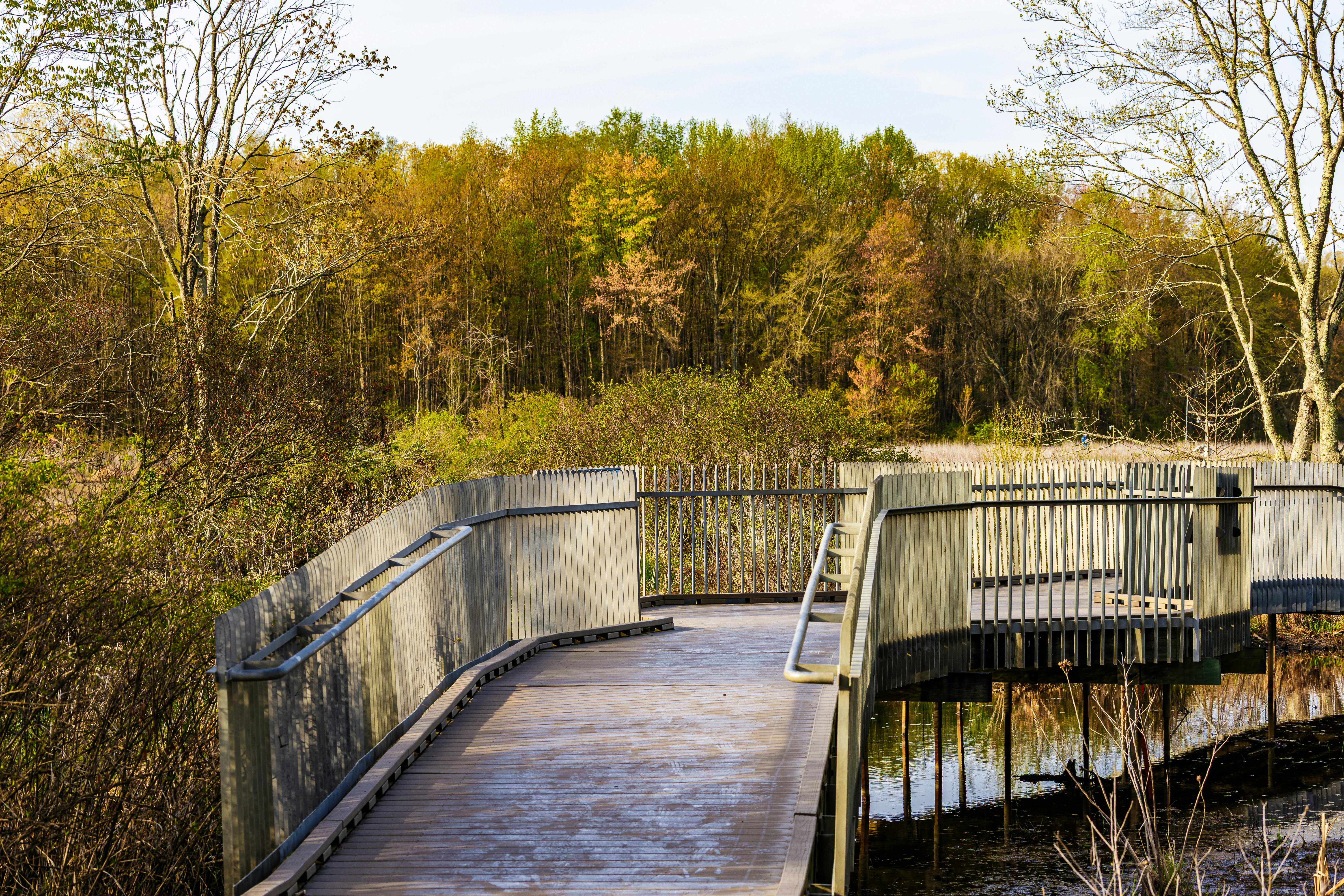 DuPage Forest Preserve executive director leaving for city manager job in Florida — Photo by Jason Gooljar on Pexels