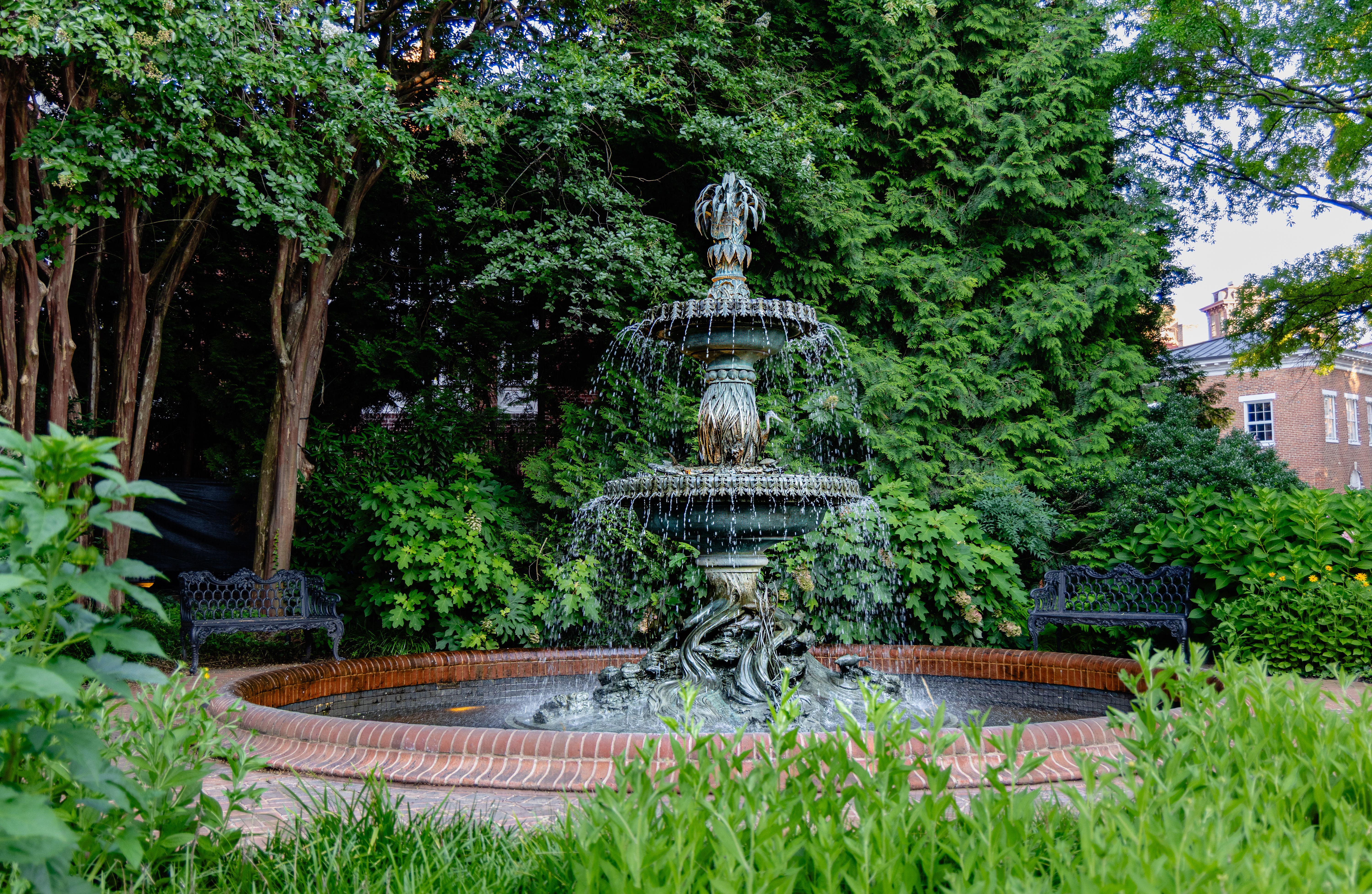 Serene Garden Fountain Among Lush Green Foliage · Free Stock Photo