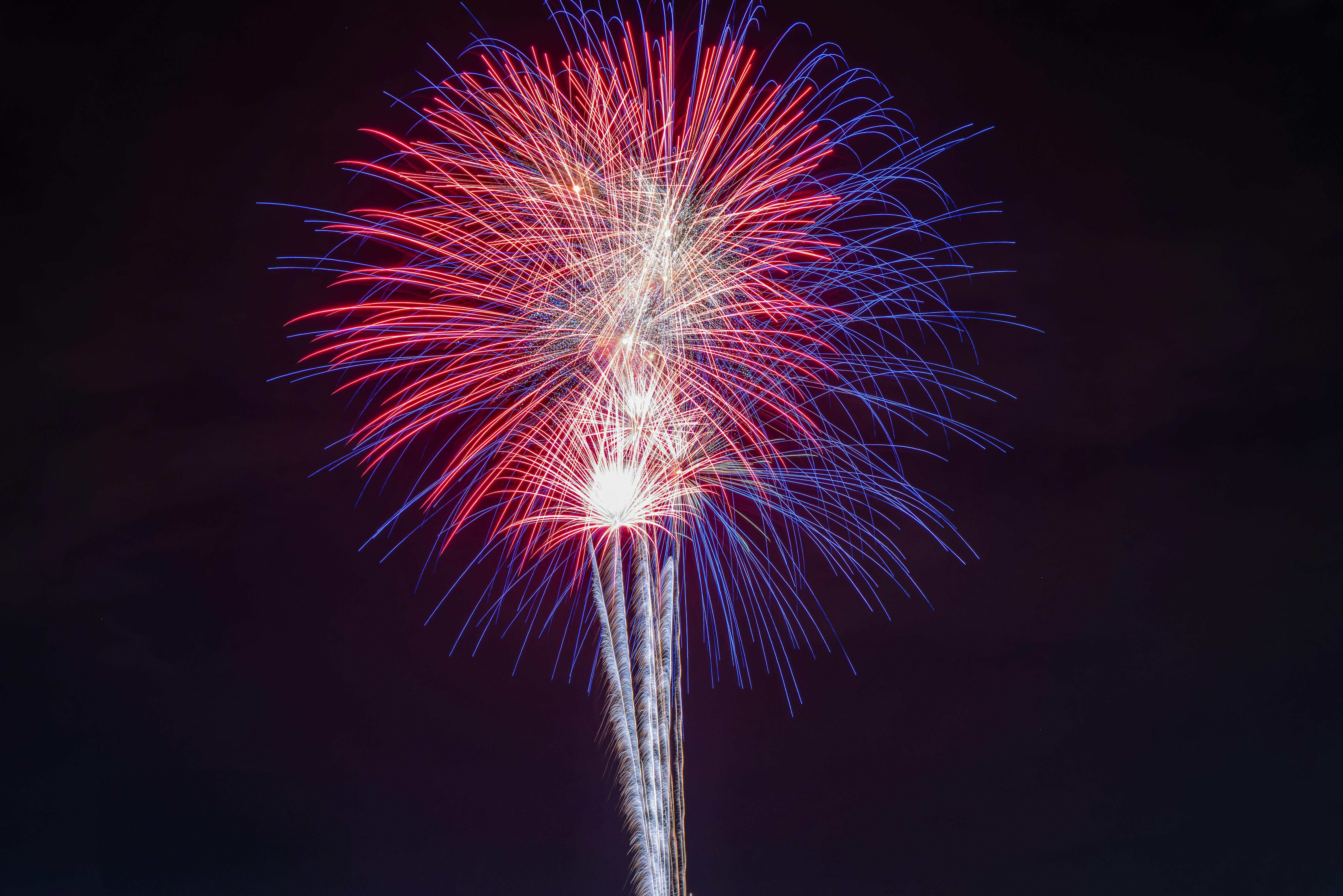 College Celebrates America 250 with Yearlong Civic Engagement Initiative — Photo by Jason Gooljar on Pexels