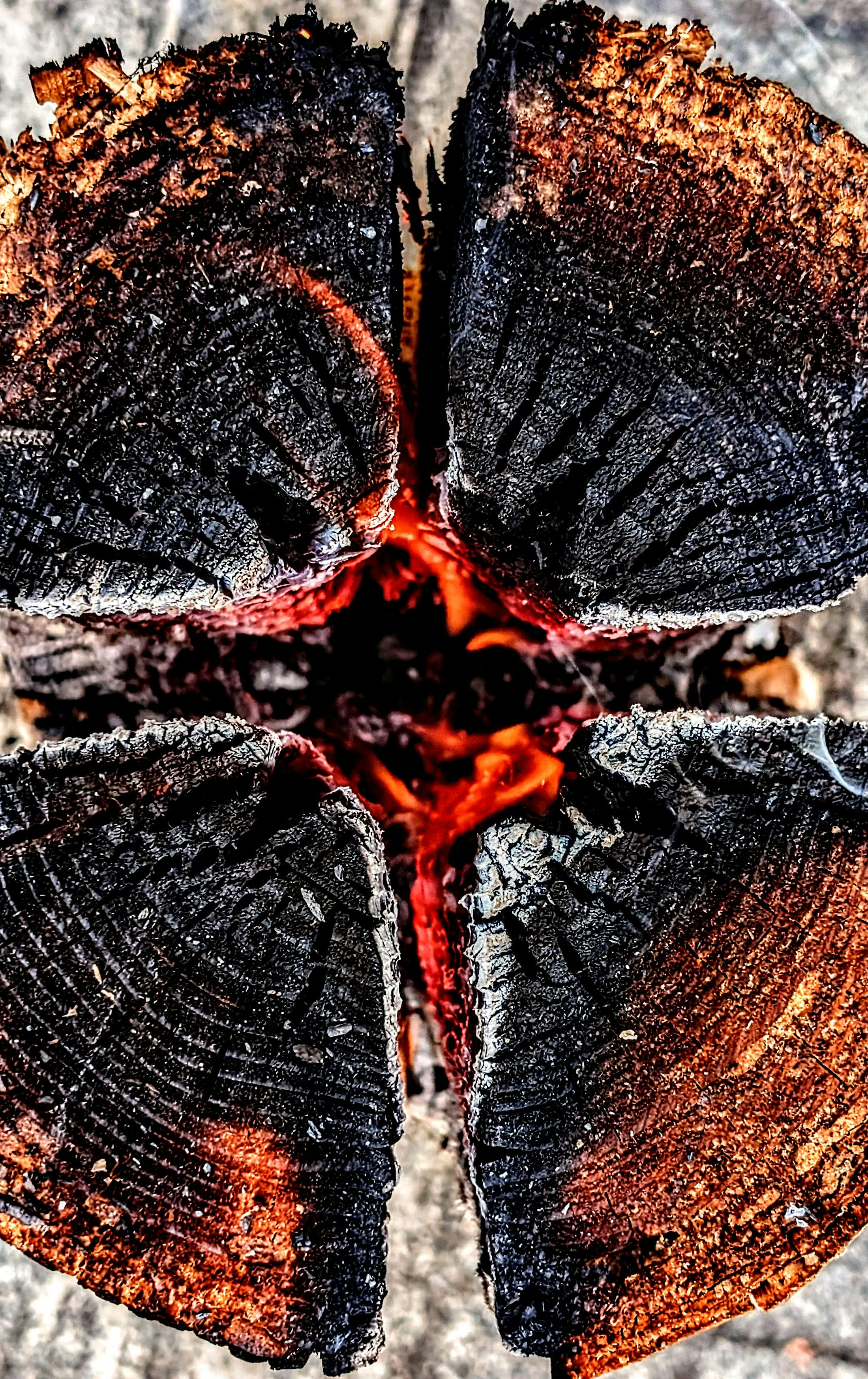 Desi Aunty Hot Photos, Download The