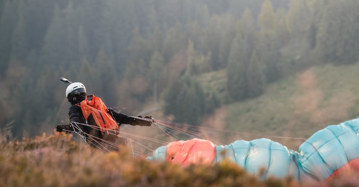 Van hobby naar betaalde service: hoe Carla (56) AI gebruikte voor een extra 1.200 euro per maand Van hobby naar betaalde service: hoe Carla (56) AI gebruikte voor een extra 1.200 euro per maand