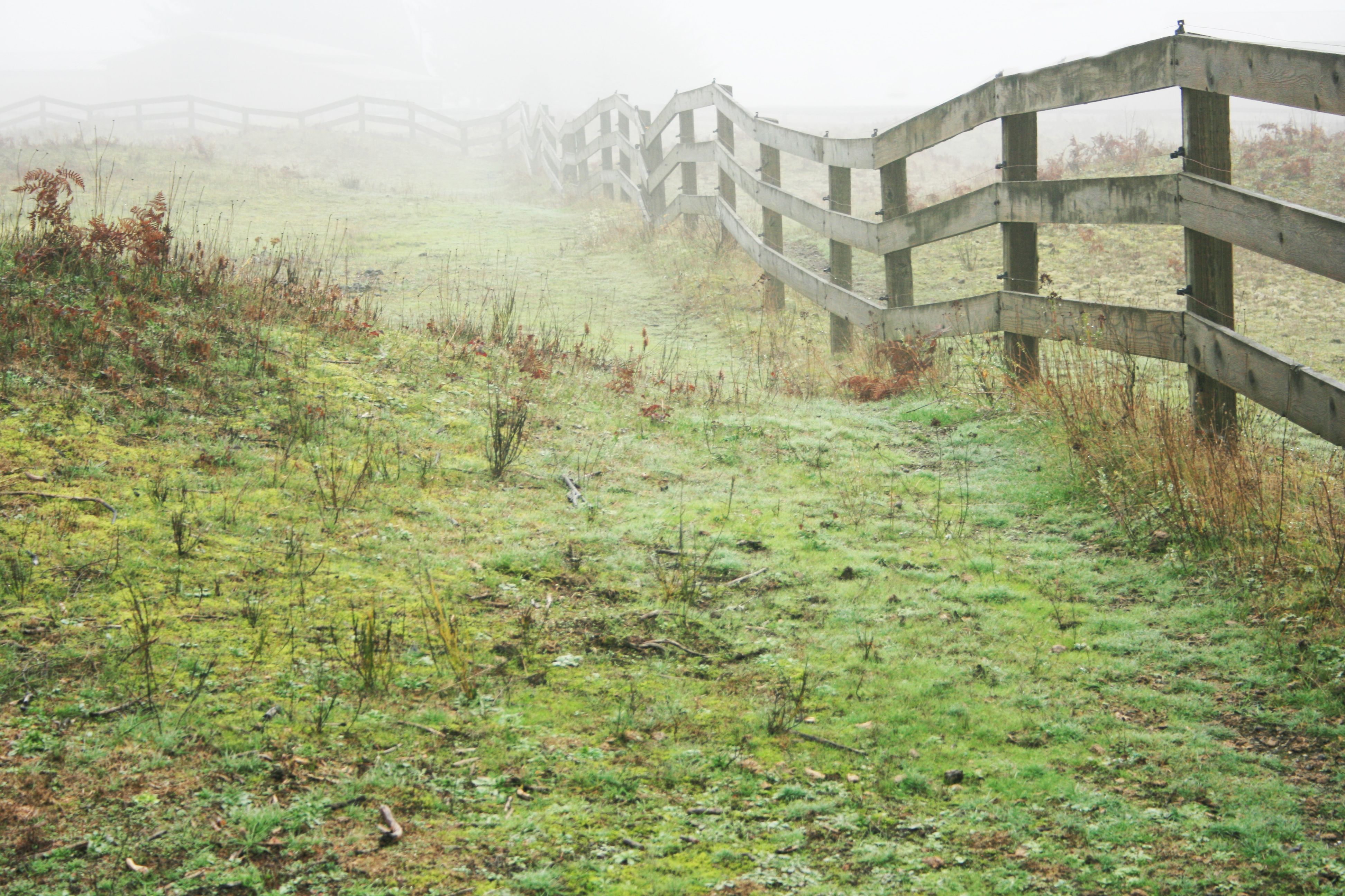 An old fence line across a foggy pasture - The Ten Commandments and the Life of Faith