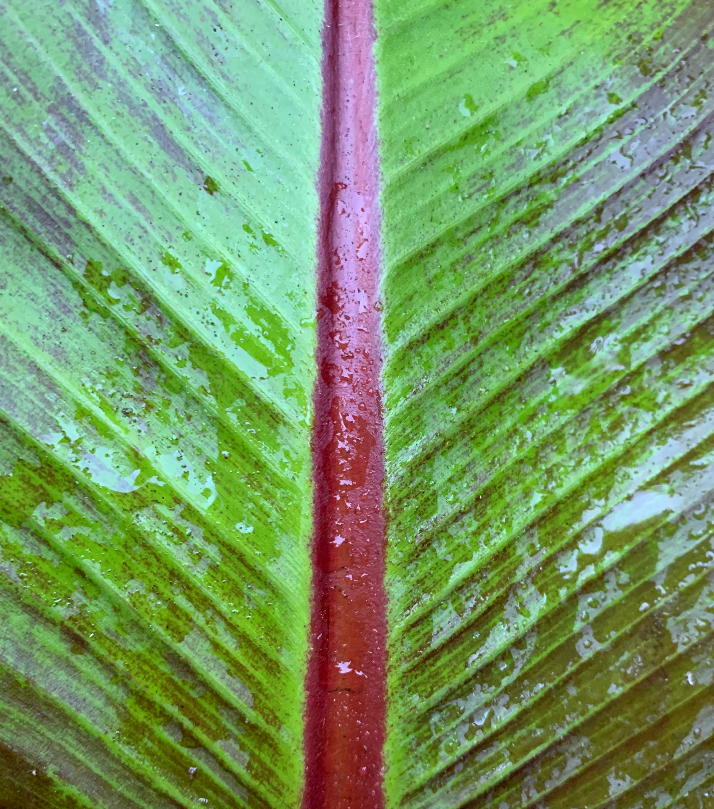 Smartwatch Wallpaper Photos, Download The BEST