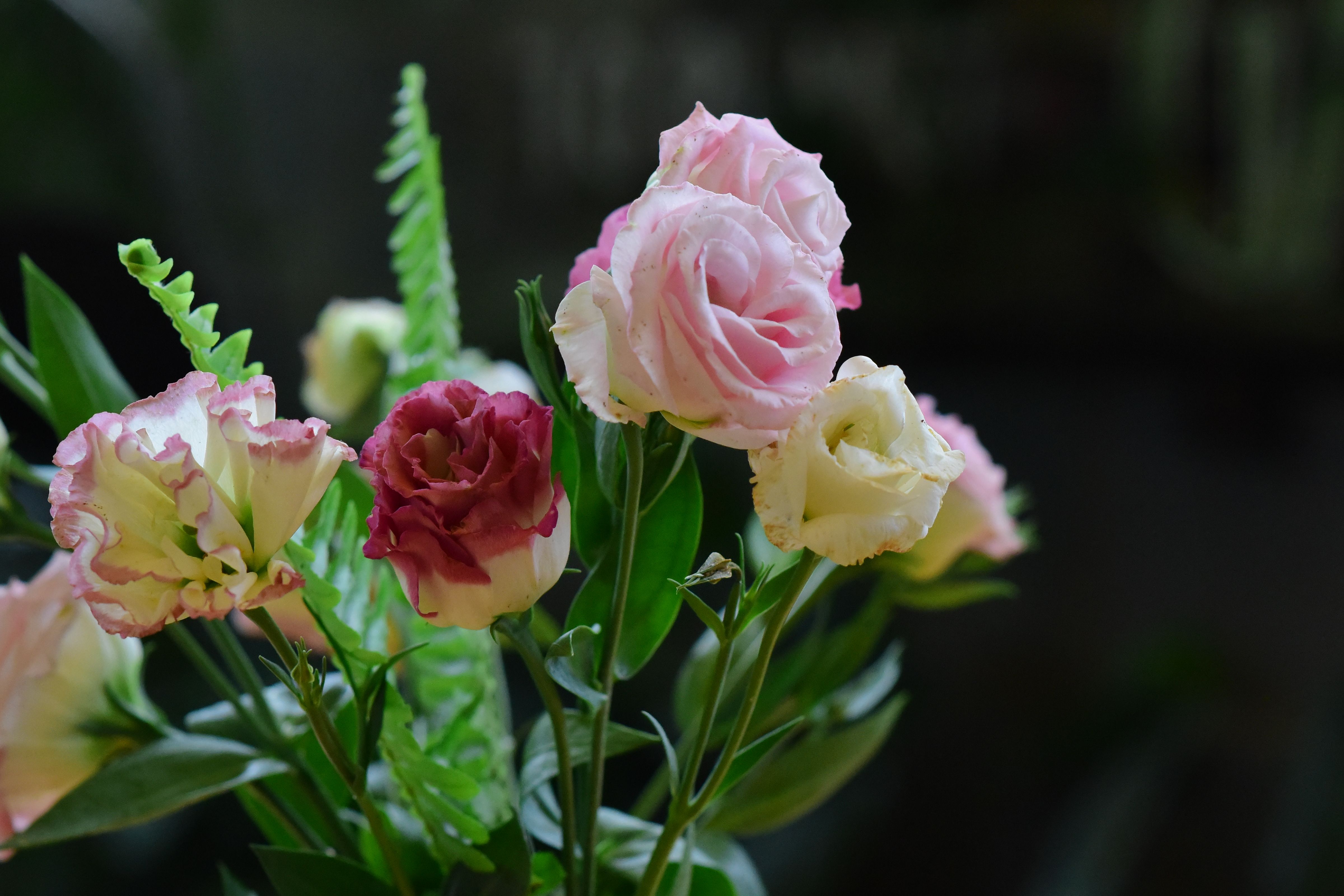Flower delivery in Dallas, TX tips