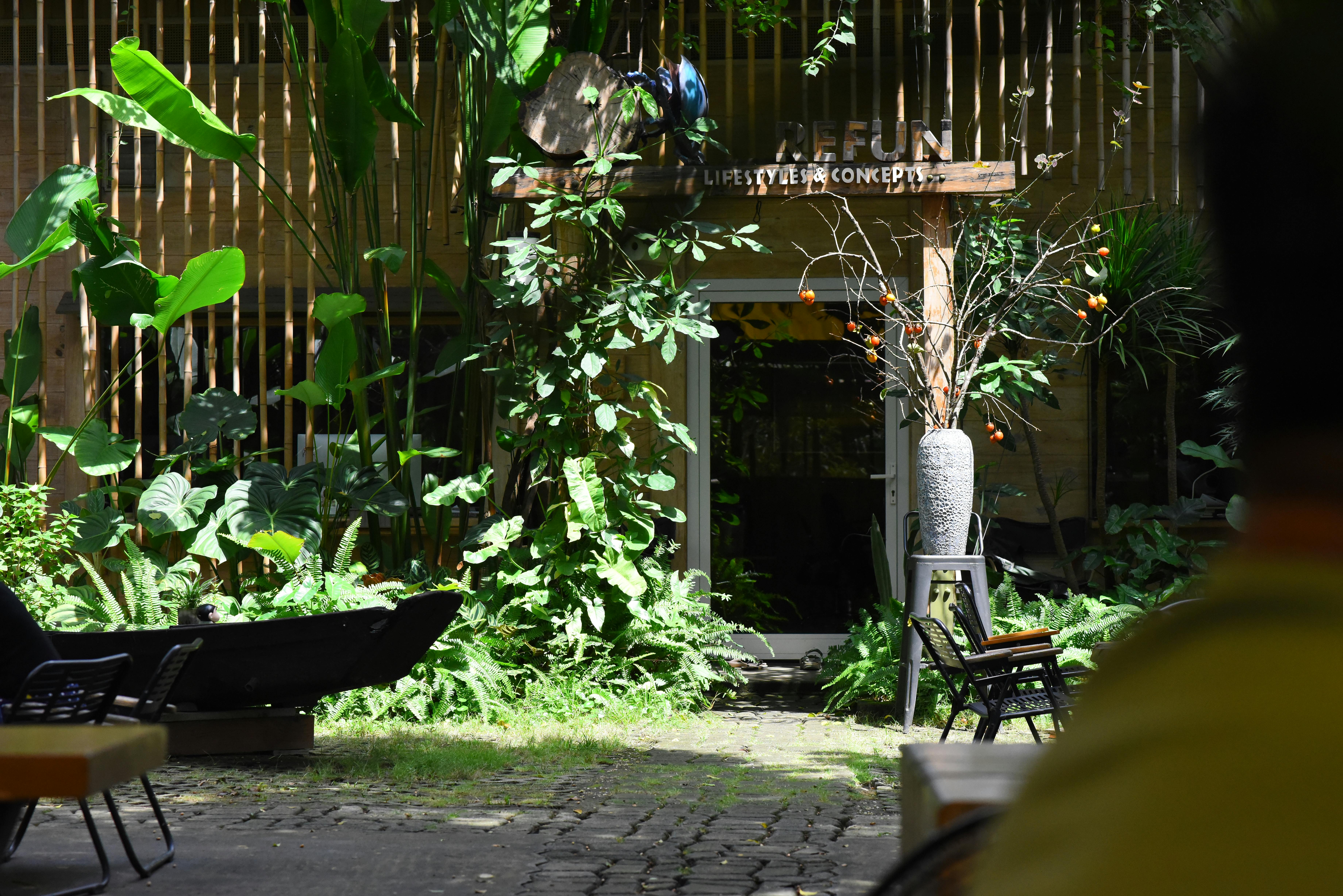 Charming outdoor cafe surrounded by vibrant tropical plants and greenery, creating a serene atmosphere.