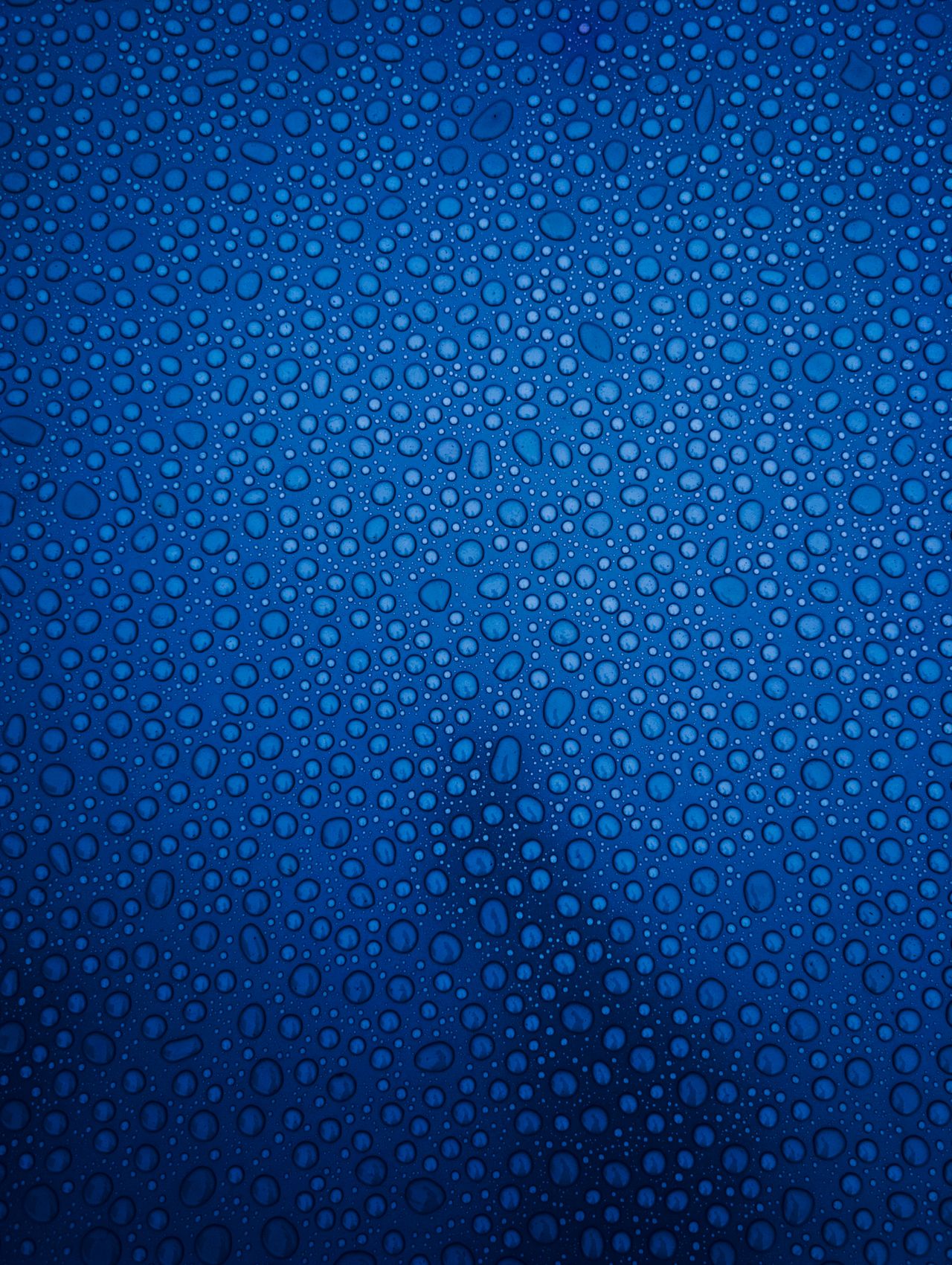 macro shot of water droplets on a blue glass surface in victoria bc