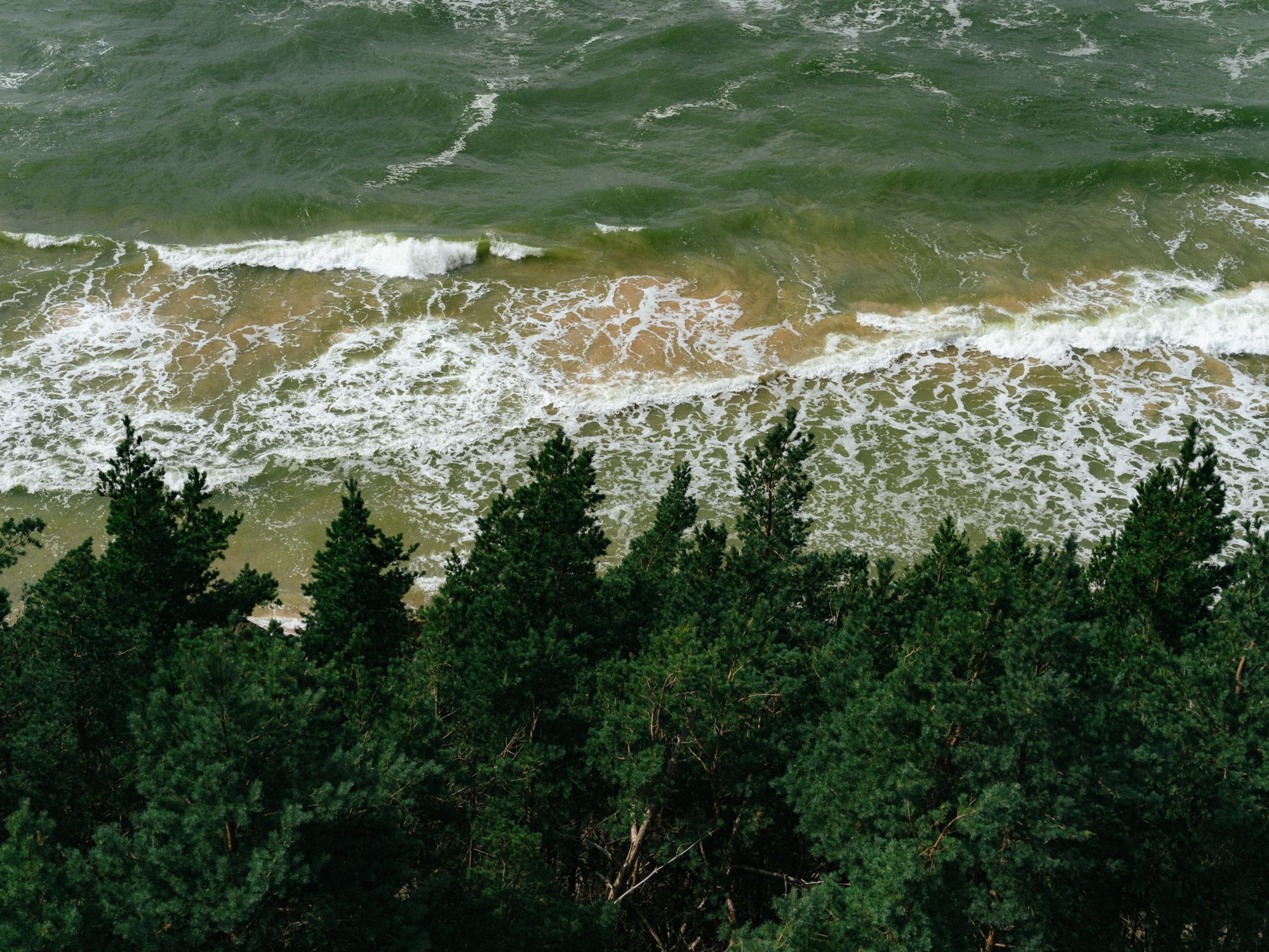 Aerial View of Ocean Waves and Pine Forest · Free Stock Photo