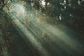 Artwork for Uncovering the Underlying Causes of Depression Through Spirituality: A Journey to Living Authentically and in a Healthier StateUncovering the Underlyi...