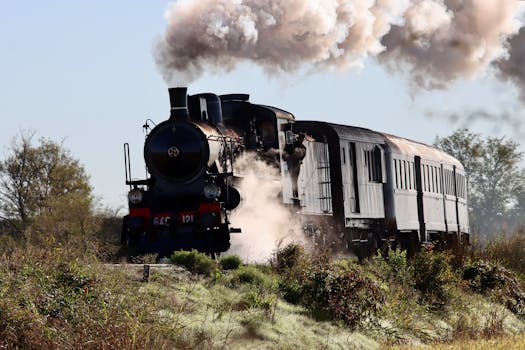 Vintage steam train traveling through lush landscape in Novara, Italy, showcasing historic rail travel.