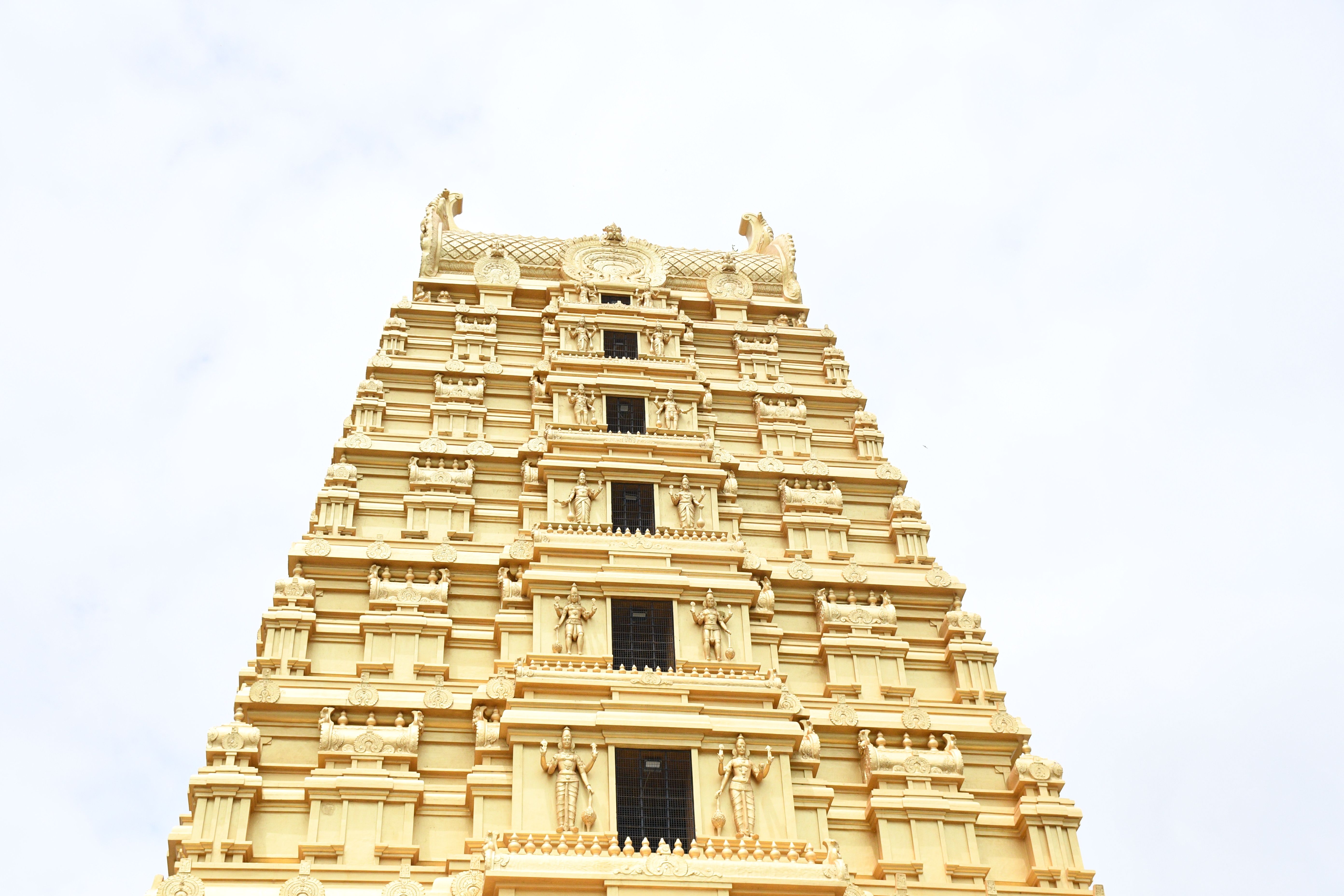 A detailed view