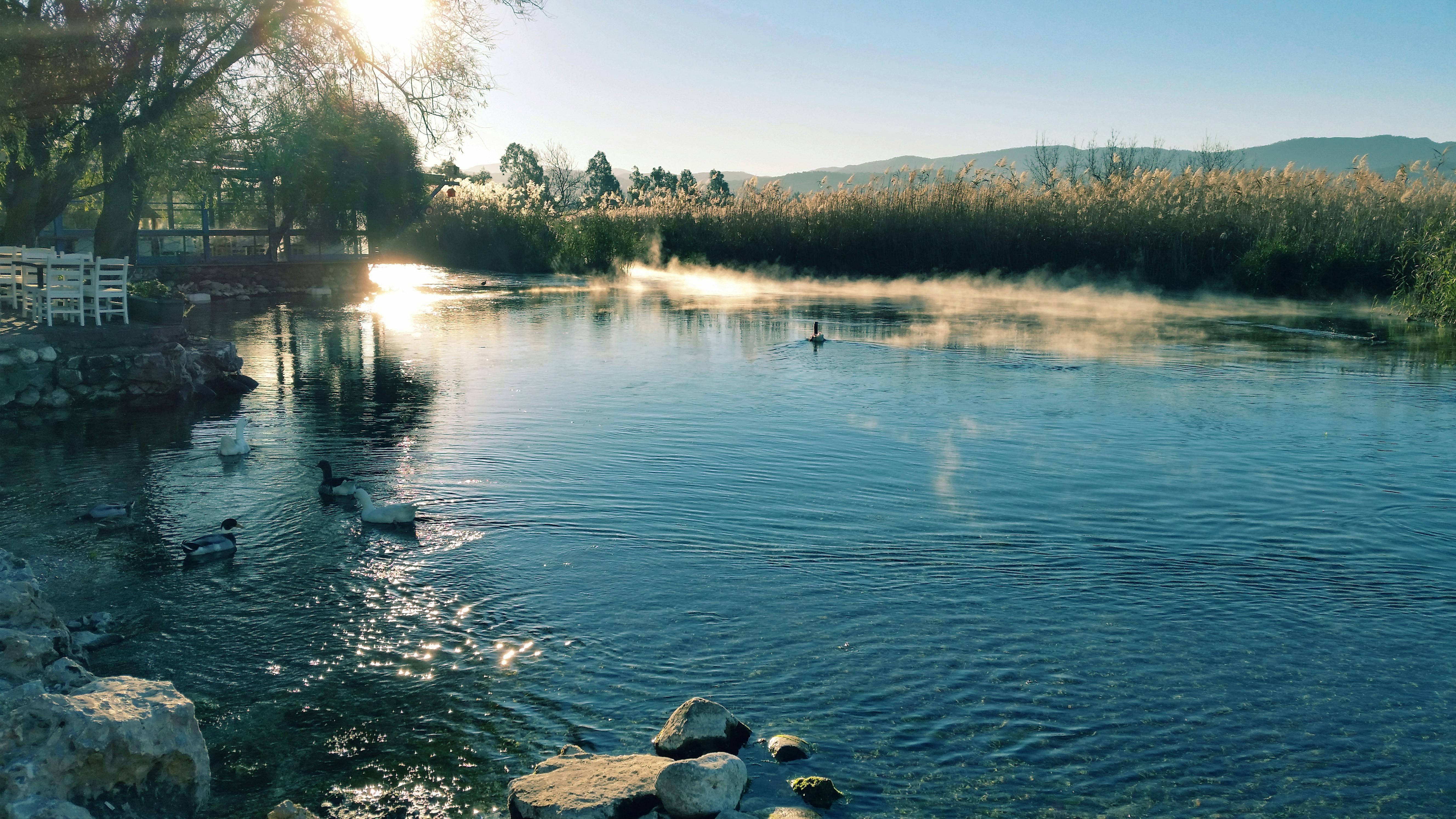 Free stock photo of riverside