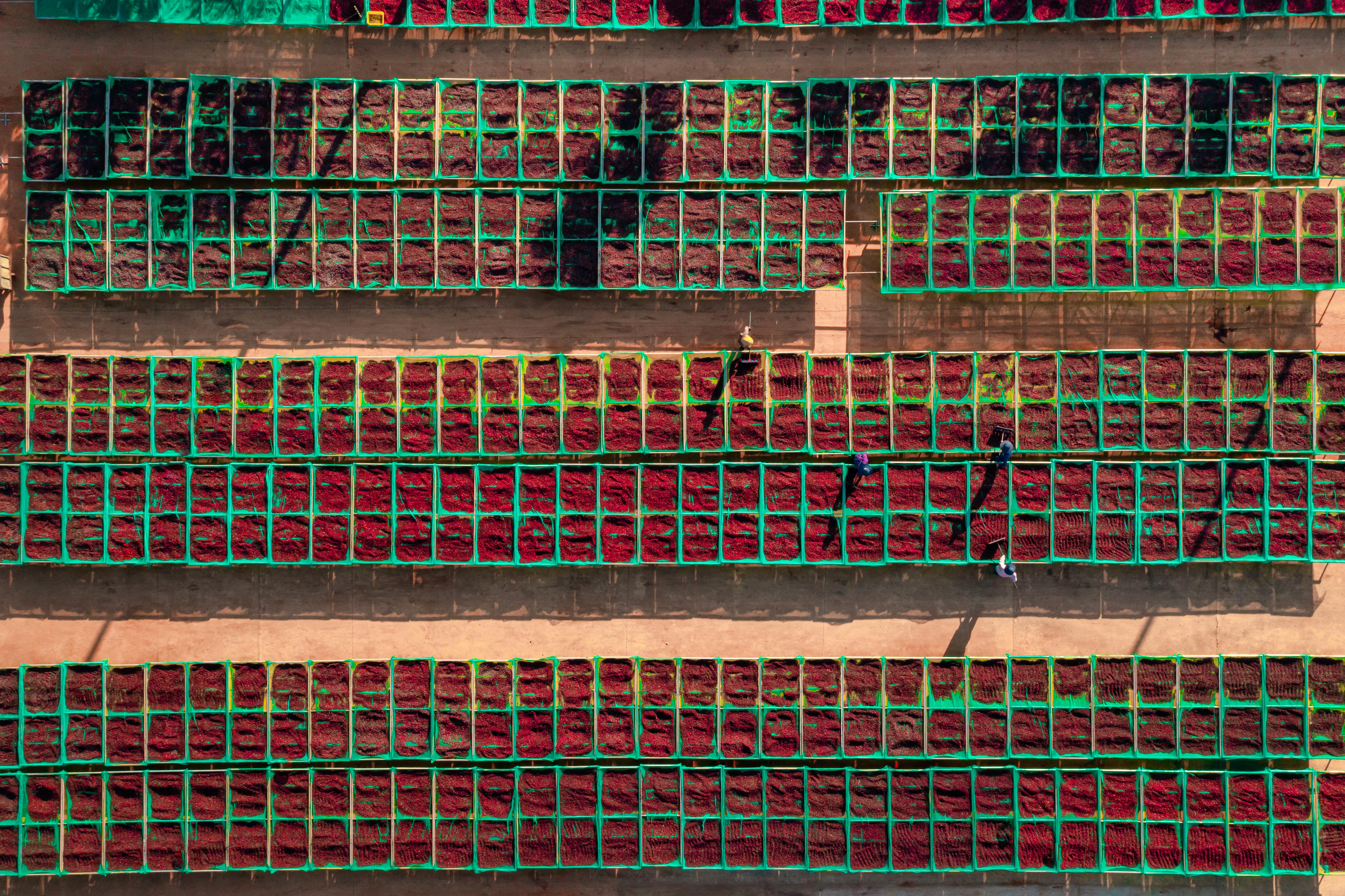 process optimization lean management — Photo by Phạm  Quý on Pexels