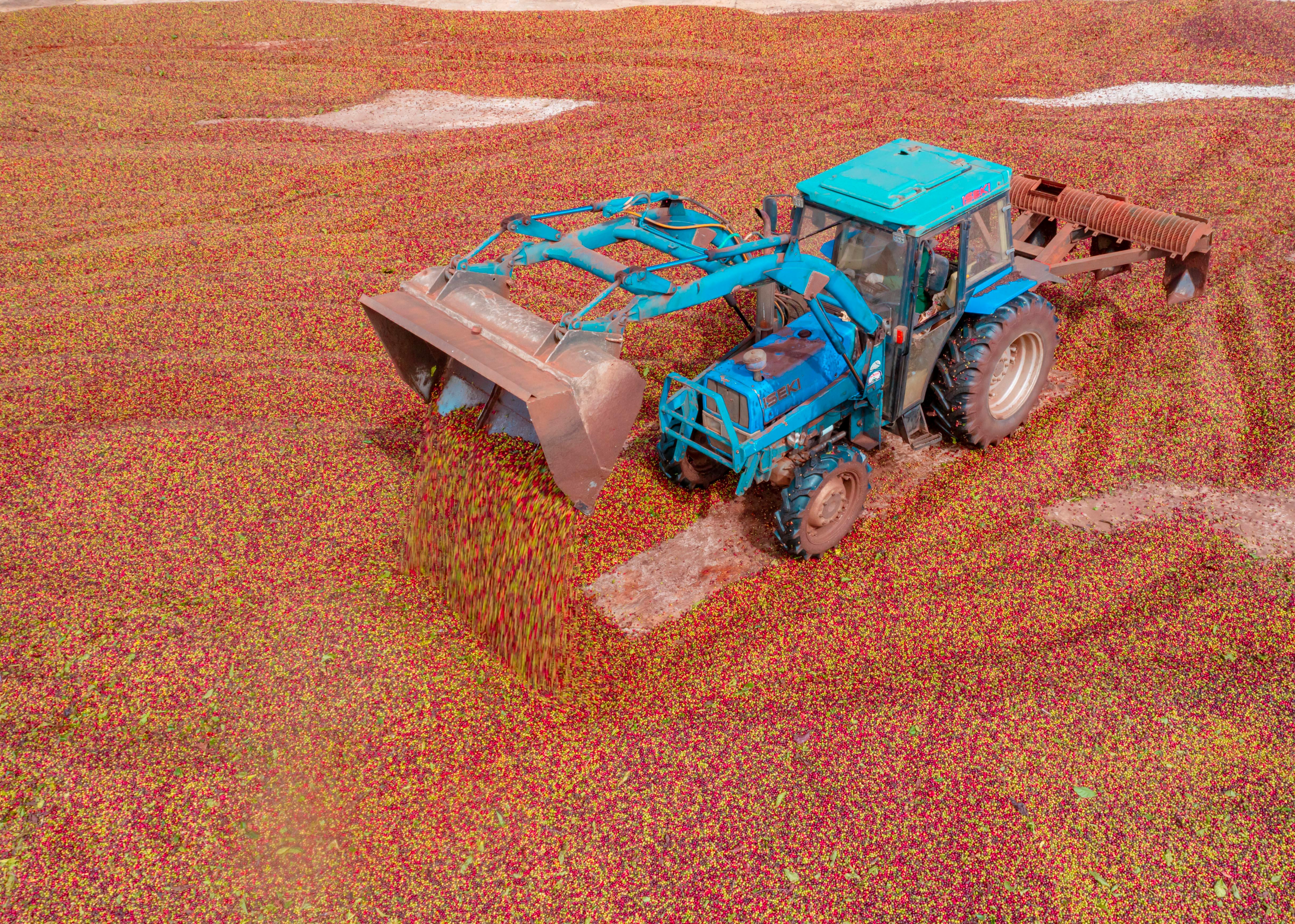 全球糧食安全新格局：美國智慧農業引領科技精準永續革命