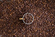 装满咖啡豆的杯子高角度视图，置于咖啡豆床上