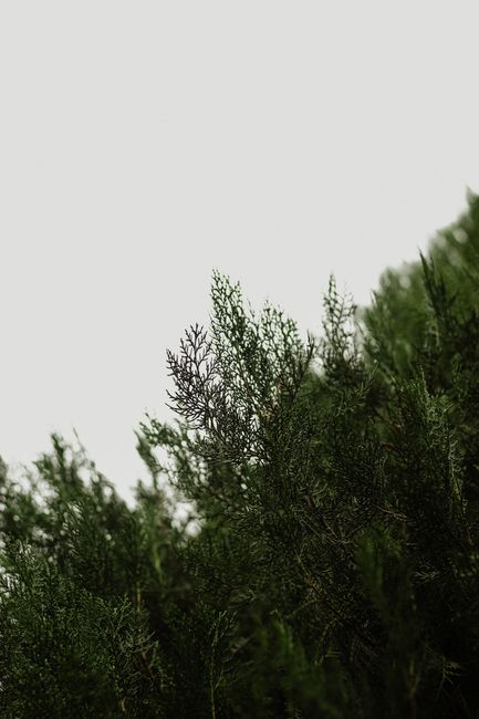 Bioetica, ambiente e alimentazione : Per una nuova discussione