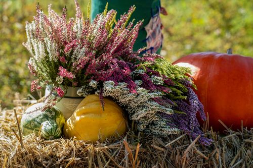 Free Colorful fall harvest display with pumpkins and flowers on a straw bale outdoors. Stock Photo