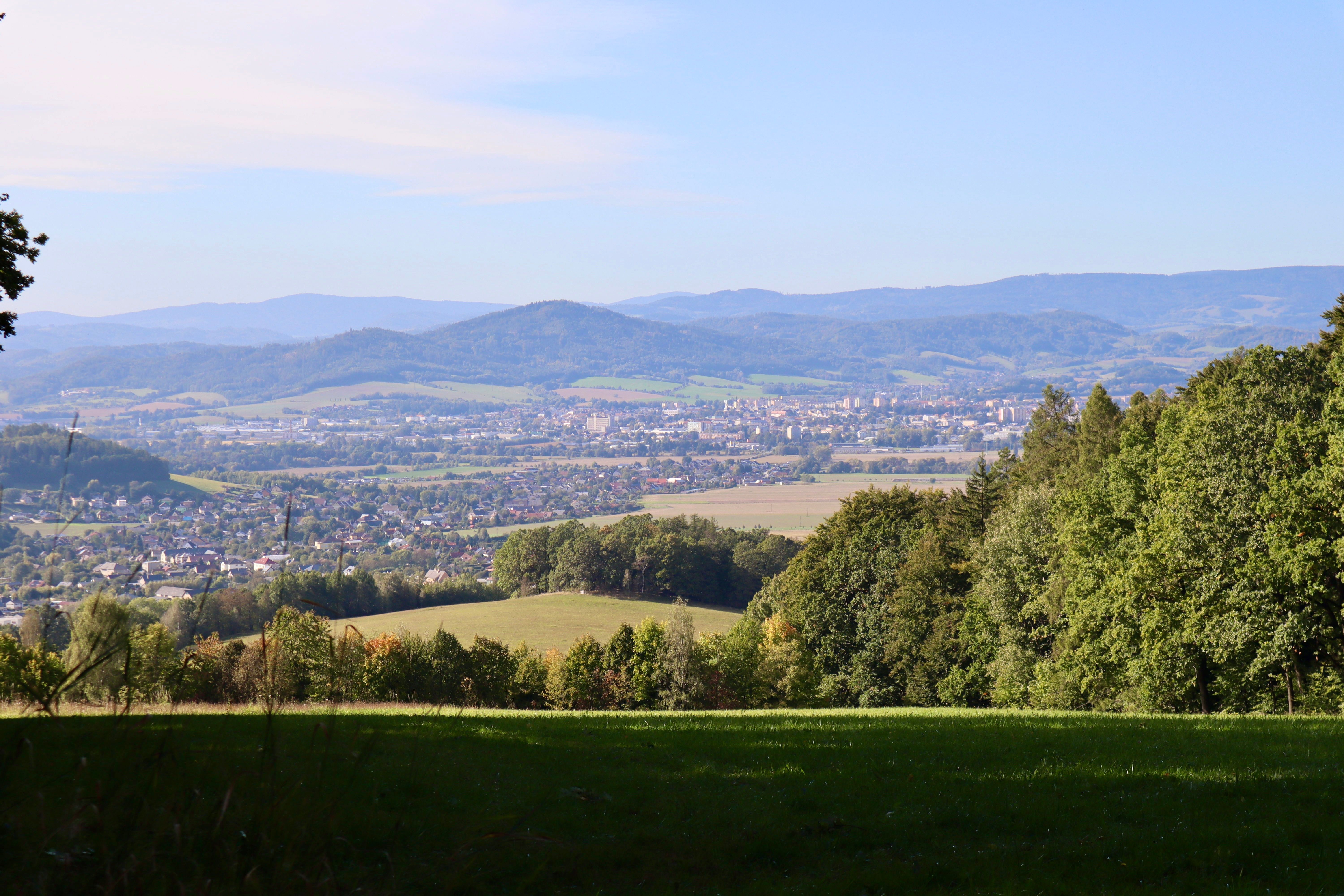 Wiesen