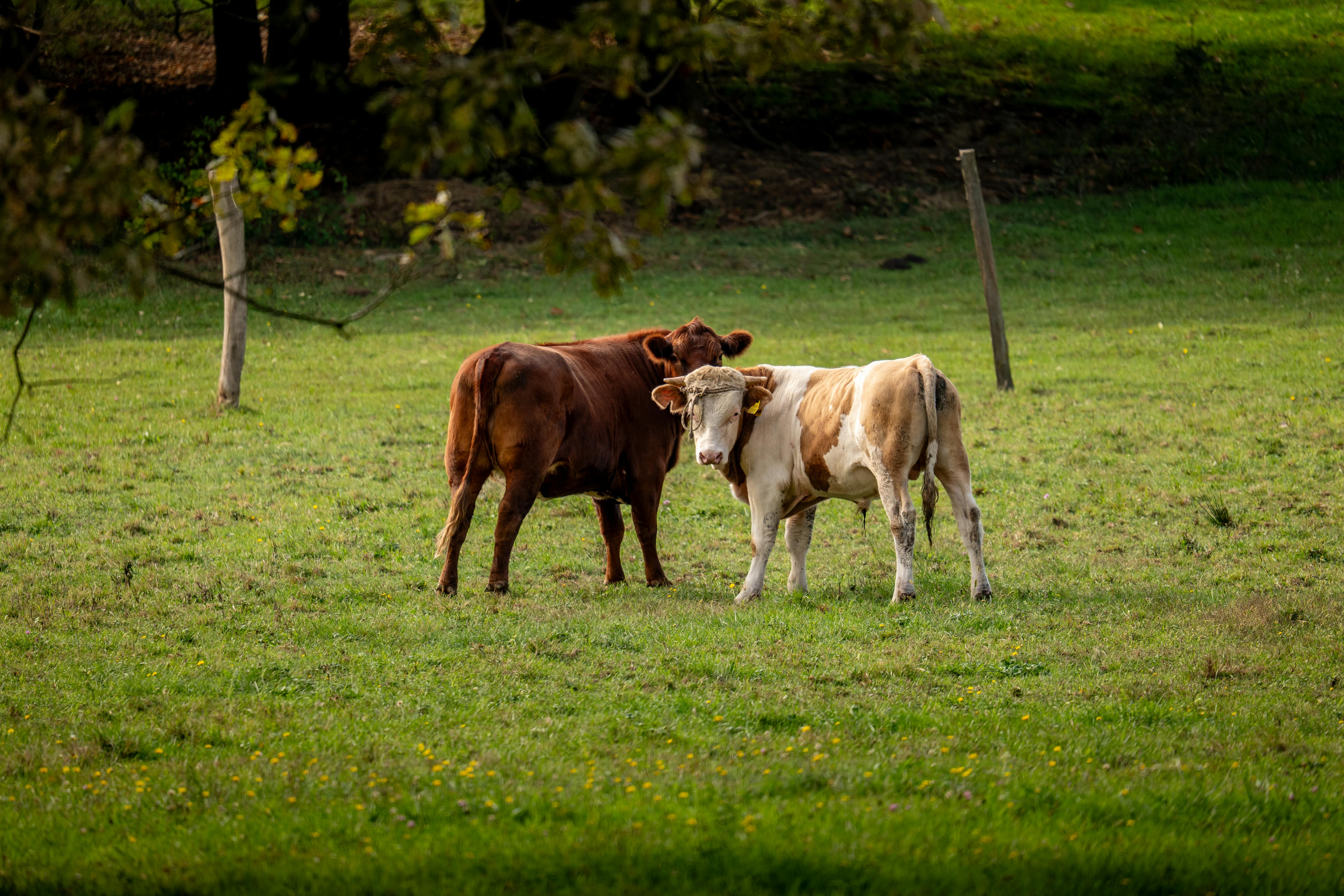 Sustainable Living and Crazy Life Hacks to Transform Your Lifestyle