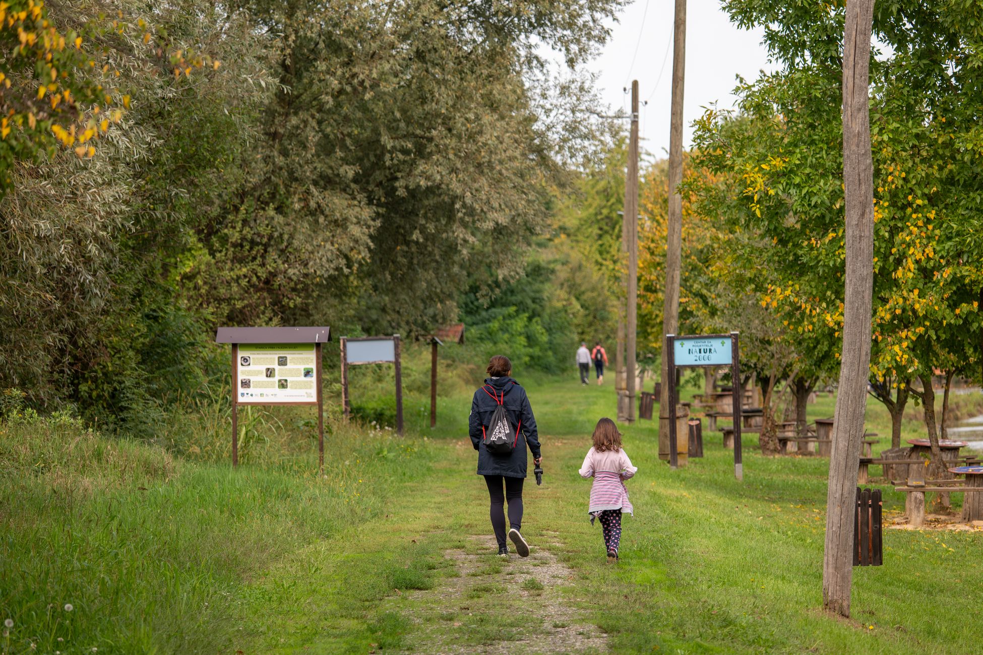 Natuurgebied Raayweiden in Blerick verkennen