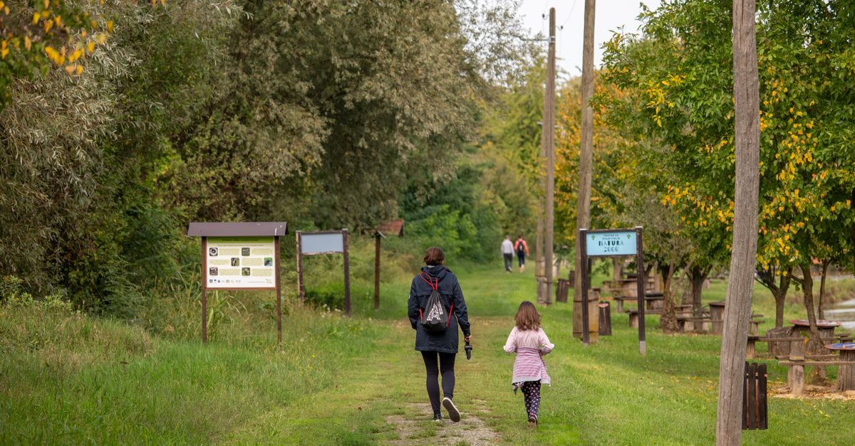 Balades avec les enfants en Essonne : les sorties qui marchent