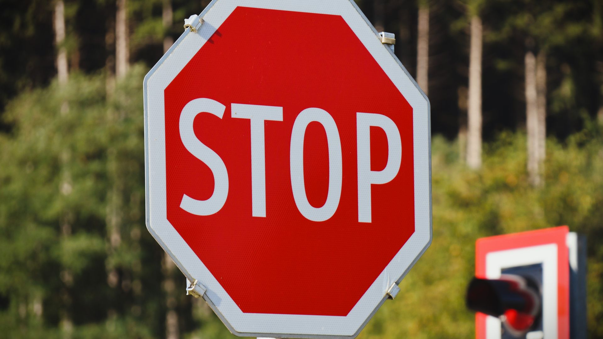 Modafinil Heart Palpitations Warning: Expert Insights Close-up of a bright red stop sign against a background of lush green trees — modafinil heart palpitations warning