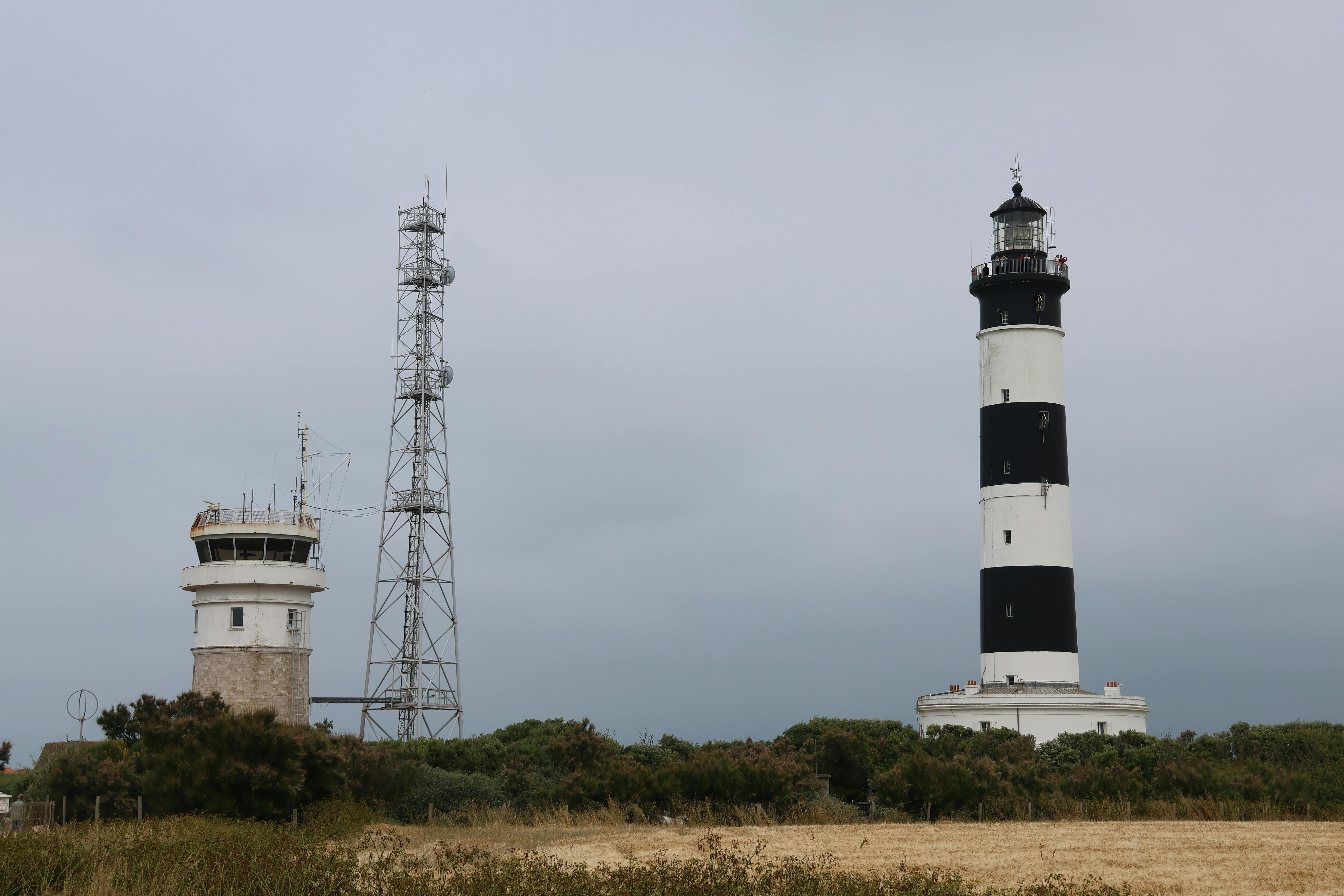 Smart Weather Prediction Models for Maritime Operations