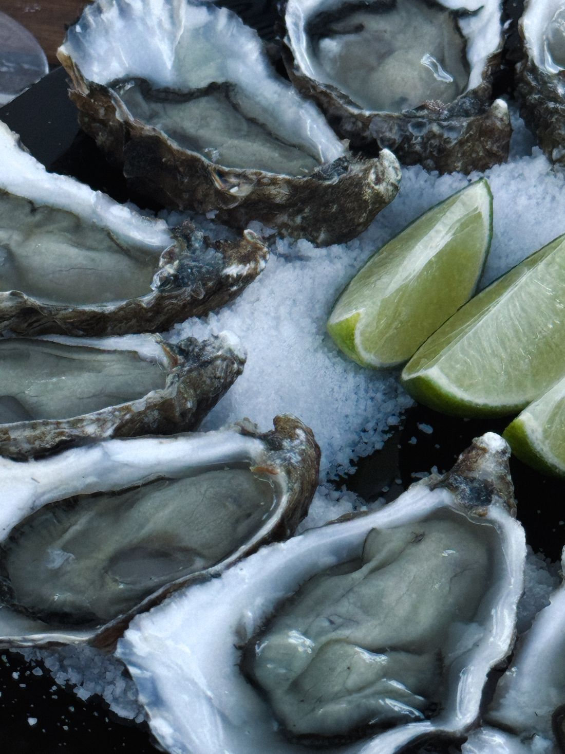 Ostriche fresche servite su ghiaccio con spicchi di lime