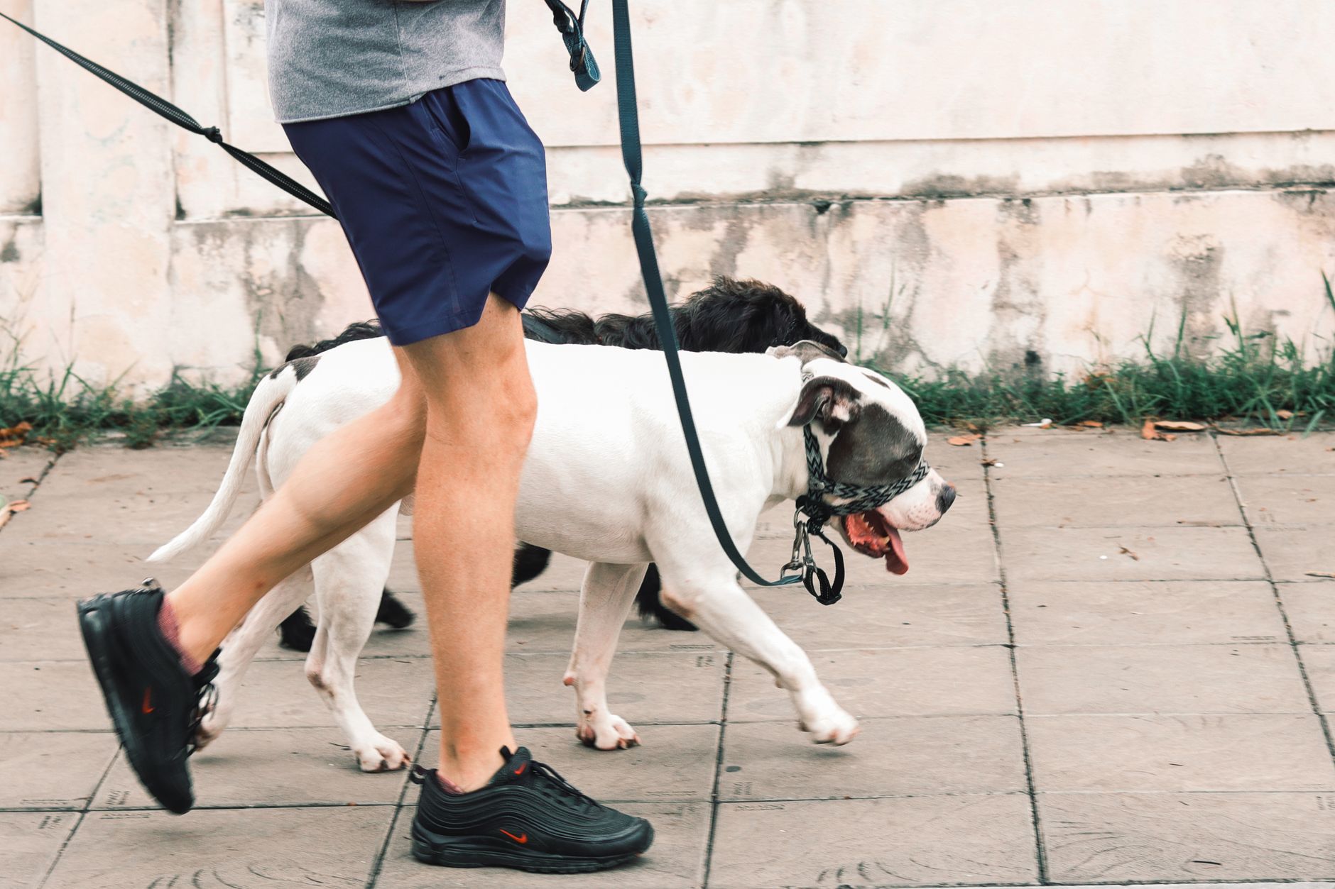 The Walking Crisis: Why Your Current Gear Is Failing
