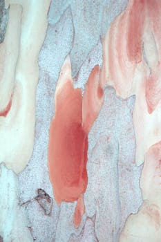 Detailed abstract image of colorful eucalyptus bark with natural patterns.