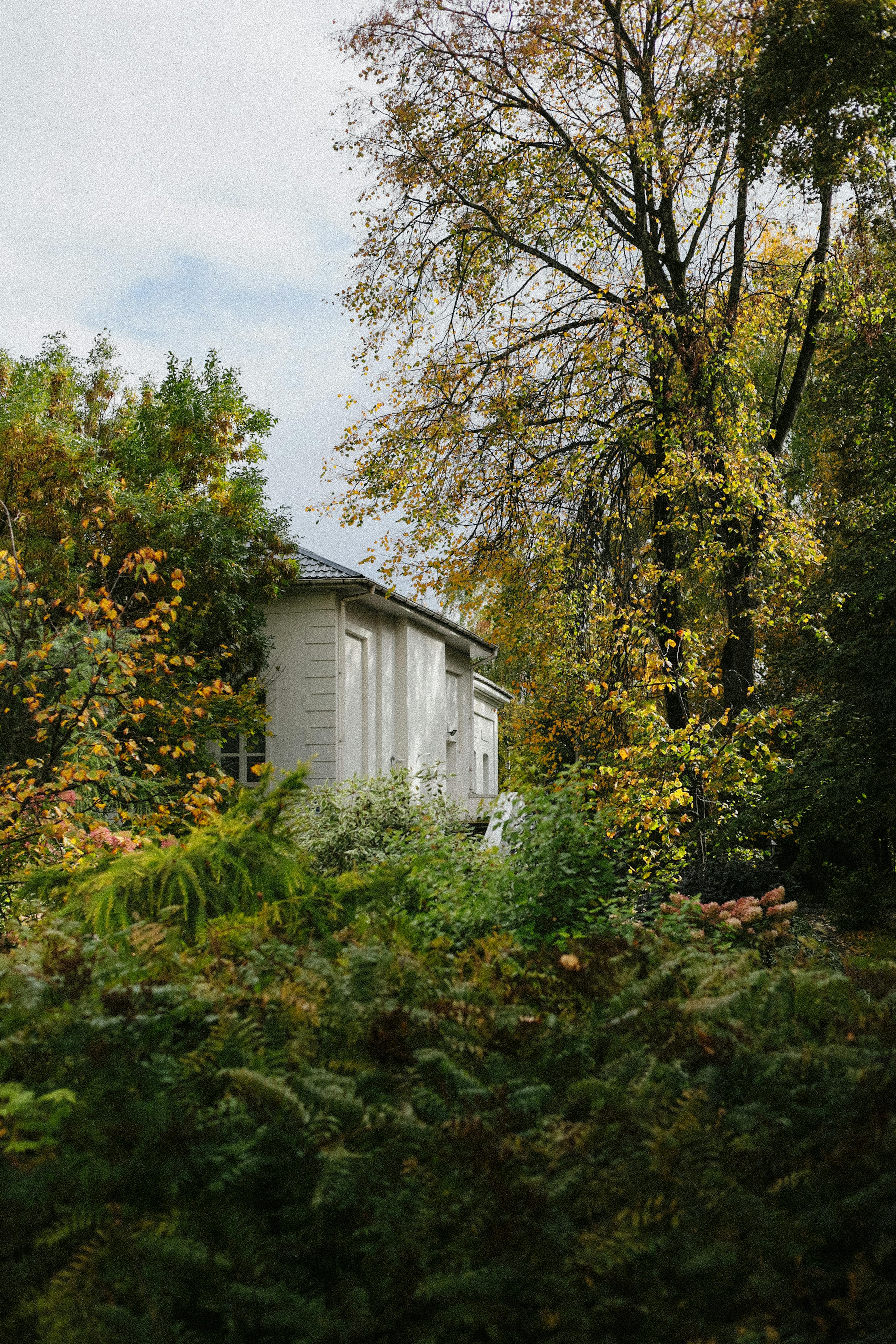 A picturesque white house surrounded by vibrant autumn trees and lush greenery.
