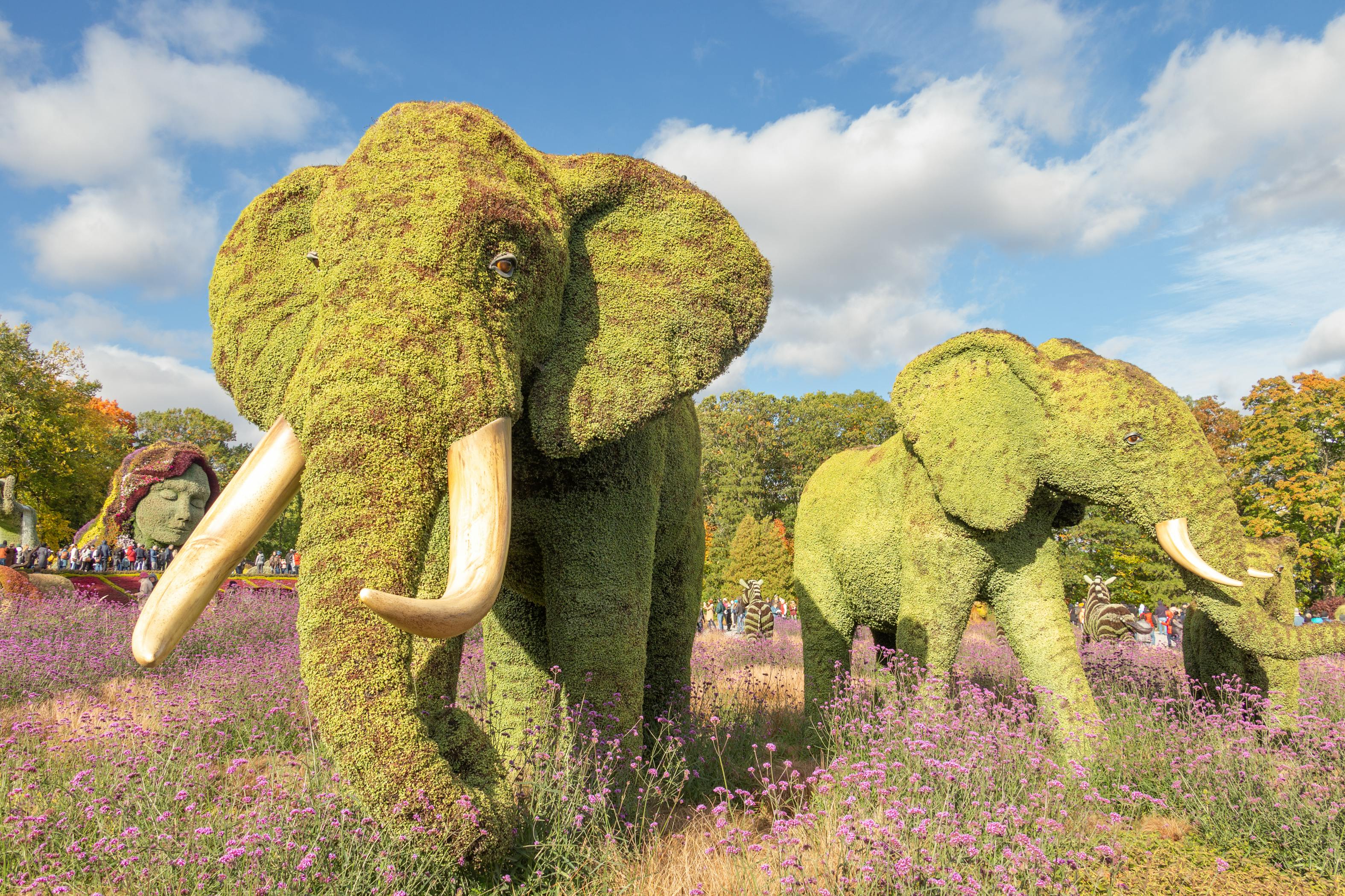 臺南沙崙引領AI時代 打造智慧綠能科技新城